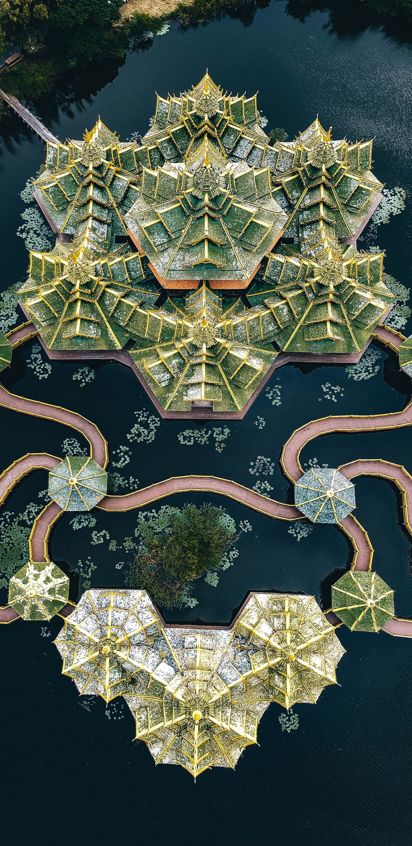 Обои дружба, множество, лодка, зеленый, растение в разрешении 1440x2960