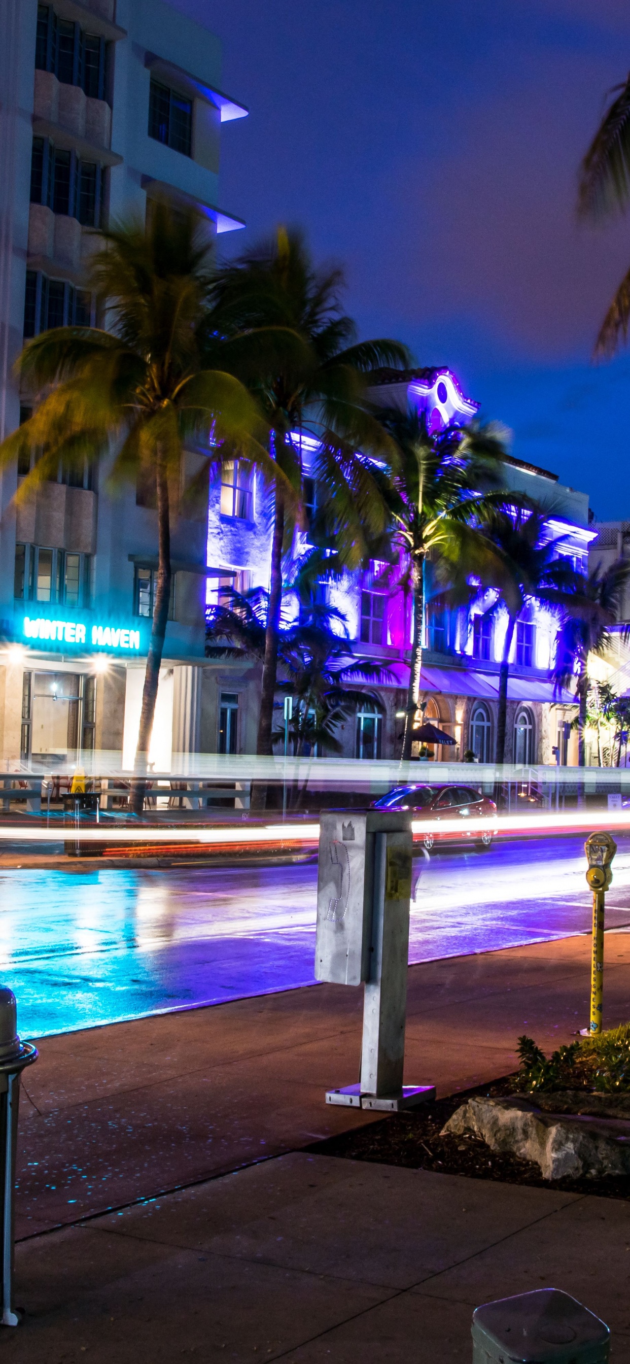 Обои Майами, ночь, освещение, Пальма, город в разрешении 1242x2688