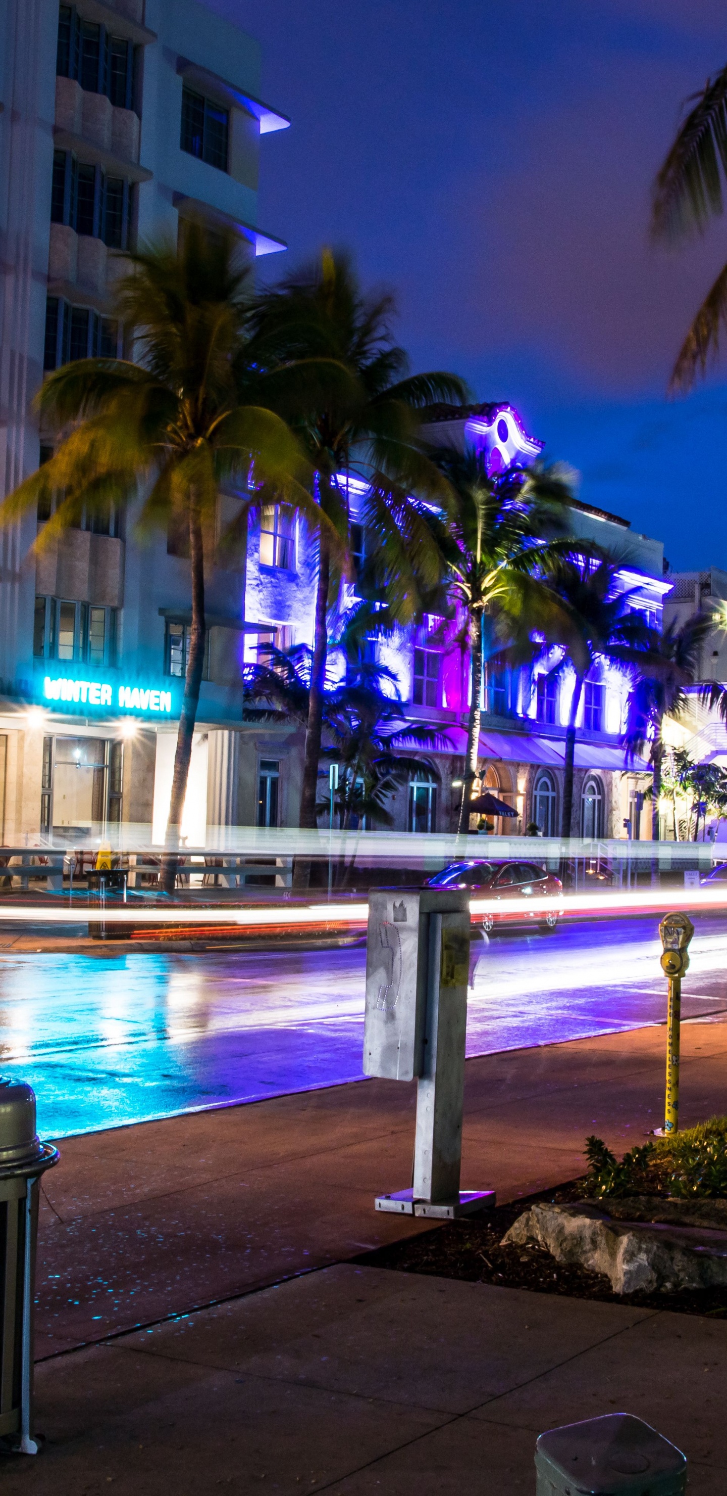 Обои Майами, ночь, освещение, Пальма, город в разрешении 1440x2960