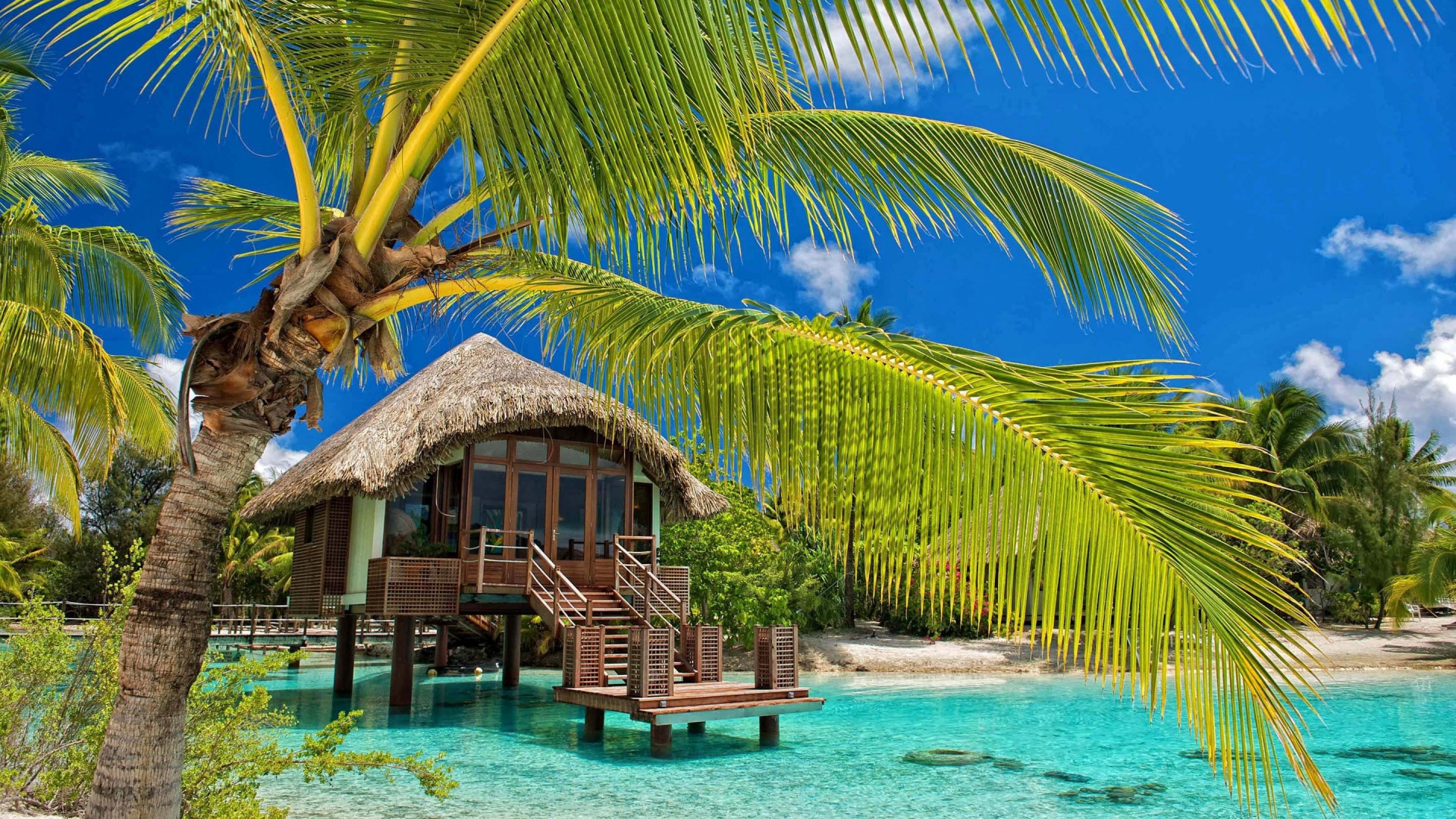 Обои Пляжная хижина, пляж, хижина, тропическая зона, Пальма в разрешении 1920x1080