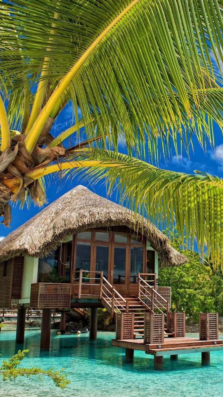 Обои Пляжная хижина, пляж, хижина, тропическая зона, Пальма в разрешении 720x1280