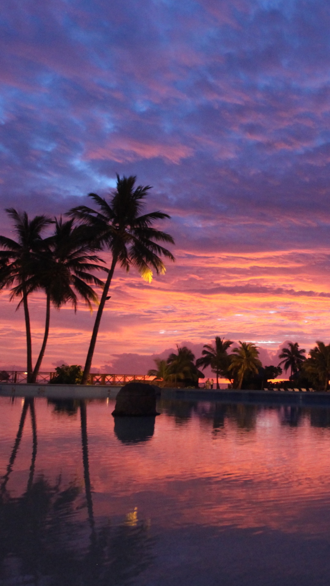 Обои закат, облако, вода, растение, послесвечение в разрешении 1080x1920