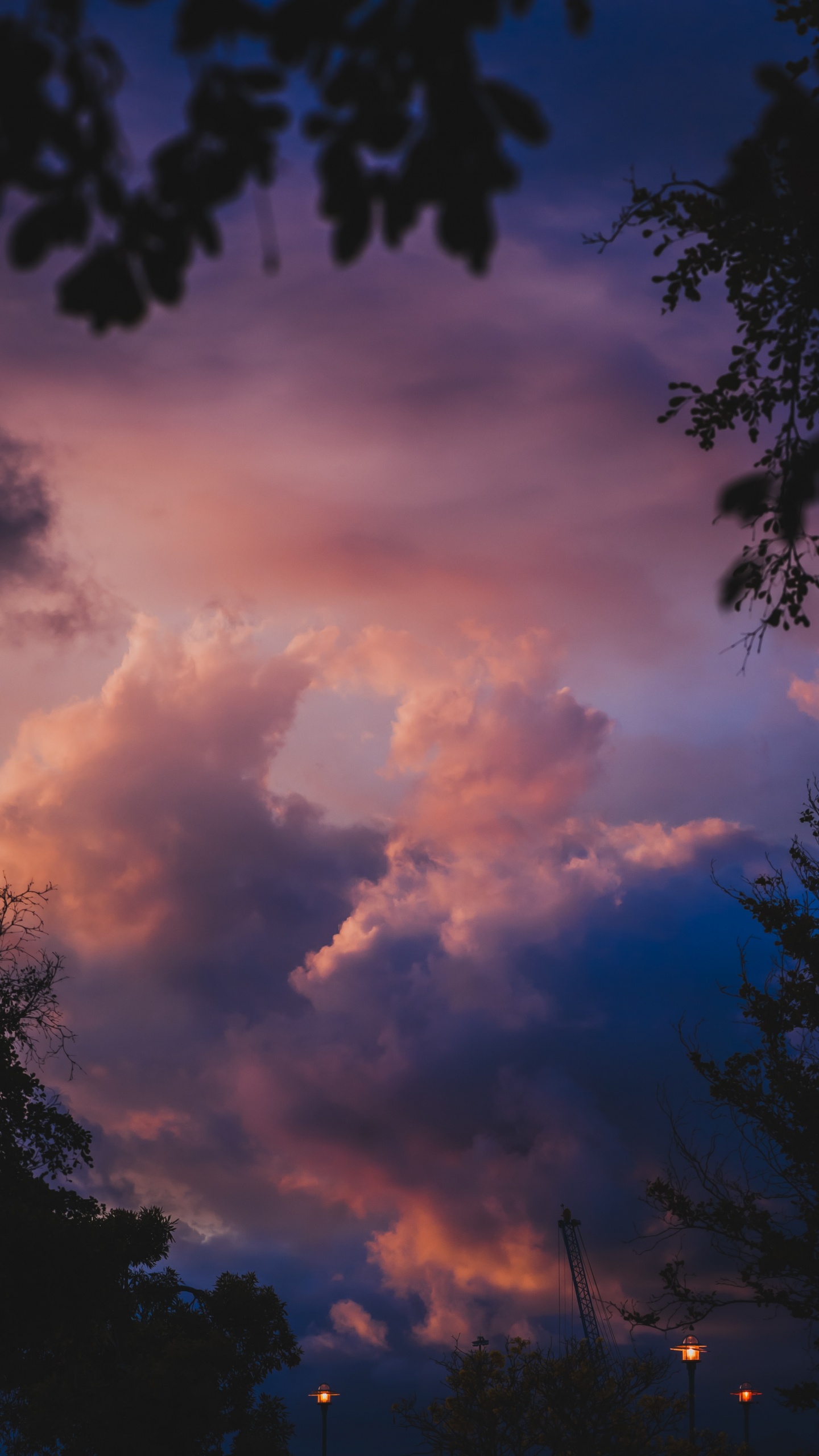 Обои облако, синий, дневное время, природа, кучевое облако в разрешении 1440x2560