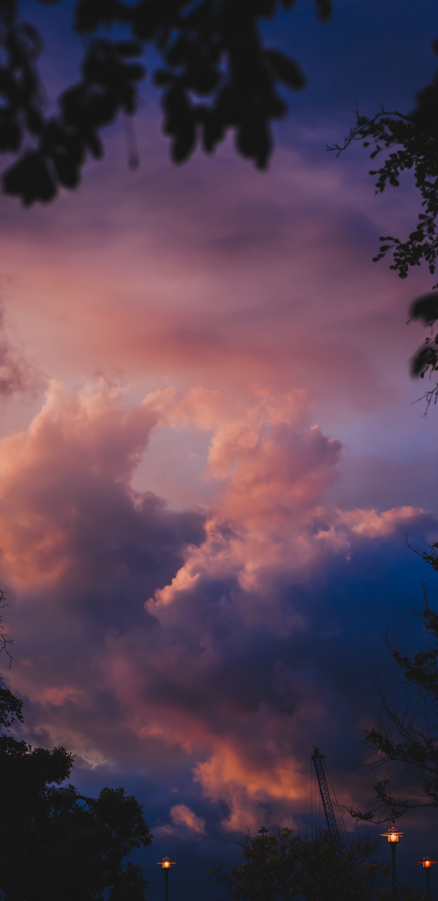 Обои облако, синий, дневное время, природа, кучевое облако в разрешении 1440x2960