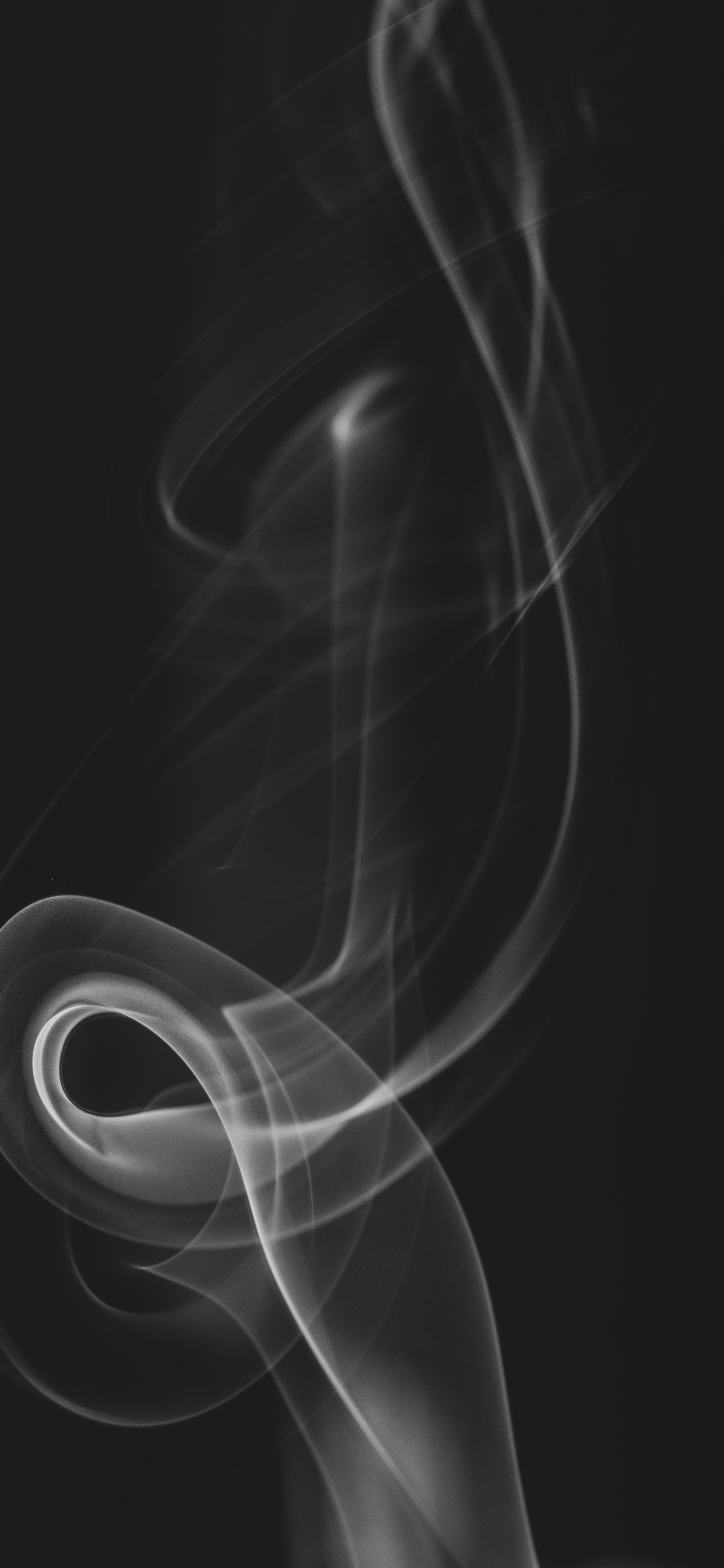 Обои черный и белый, черный, вдохновить текстильный дизайн 10 05x0 53м, белые, волосы в разрешении 1242x2688