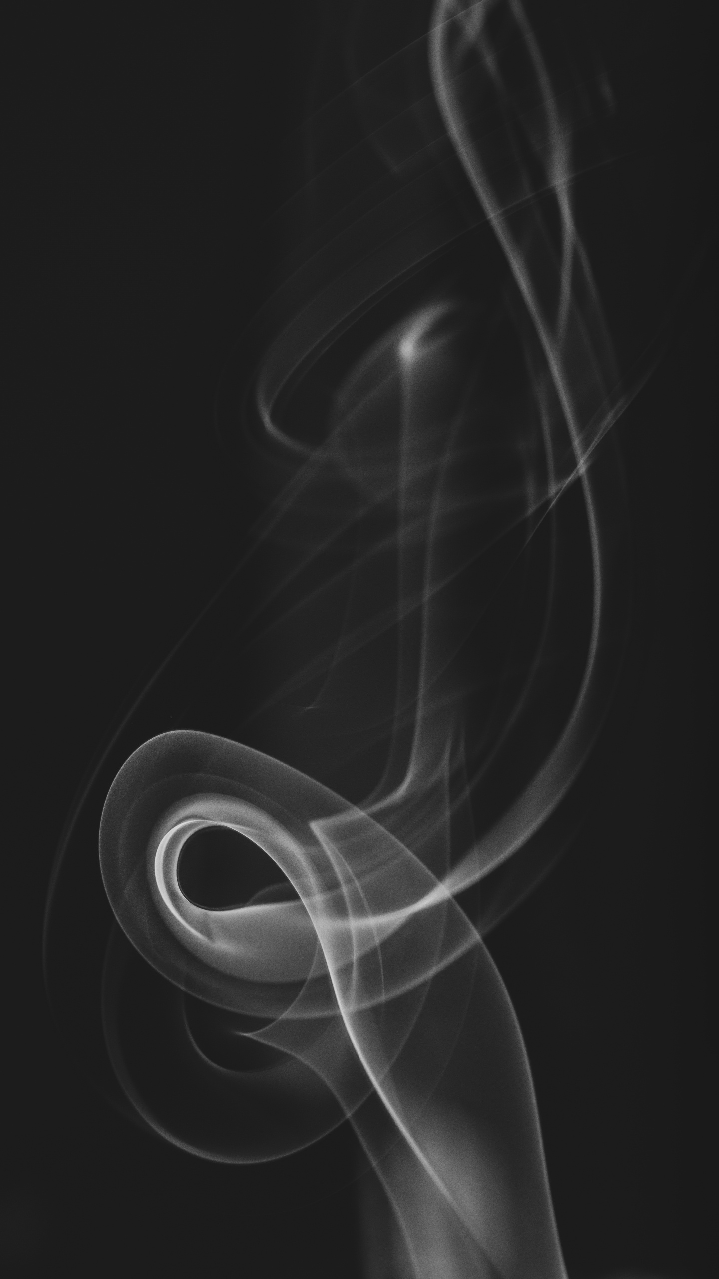 Обои черный и белый, черный, вдохновить текстильный дизайн 10 05x0 53м, белые, волосы в разрешении 1440x2560