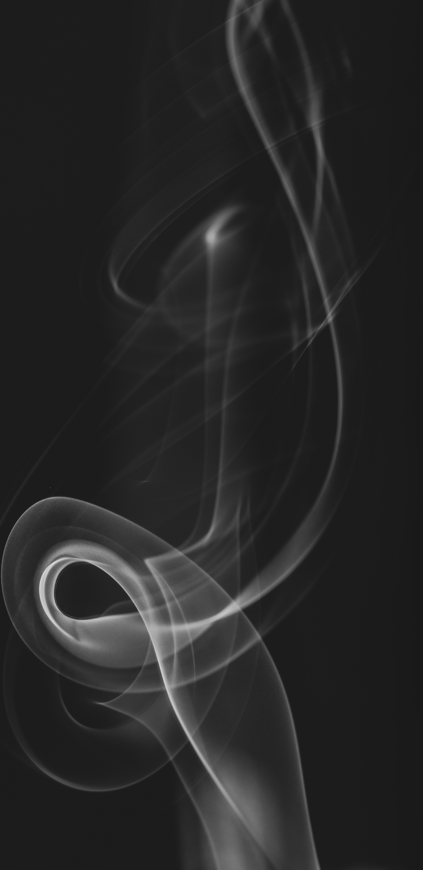 Обои черный и белый, черный, вдохновить текстильный дизайн 10 05x0 53м, белые, волосы в разрешении 1440x2960