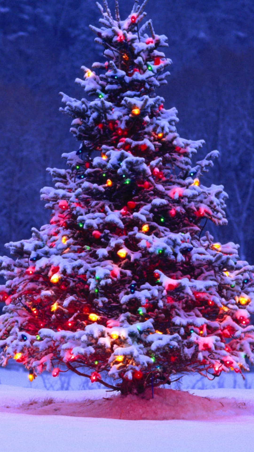 Обои Рождественский день, елка, Рождественские украшения, зима, дерево в разрешении 1080x1920