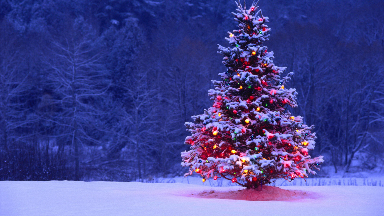 Обои Рождественский день, елка, Рождественские украшения, зима, дерево в разрешении 1280x720