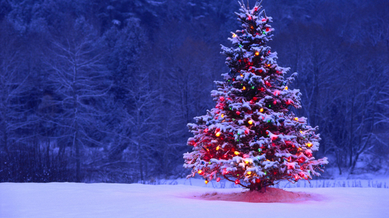 Обои Рождественский день, елка, Рождественские украшения, зима, дерево в разрешении 1366x768