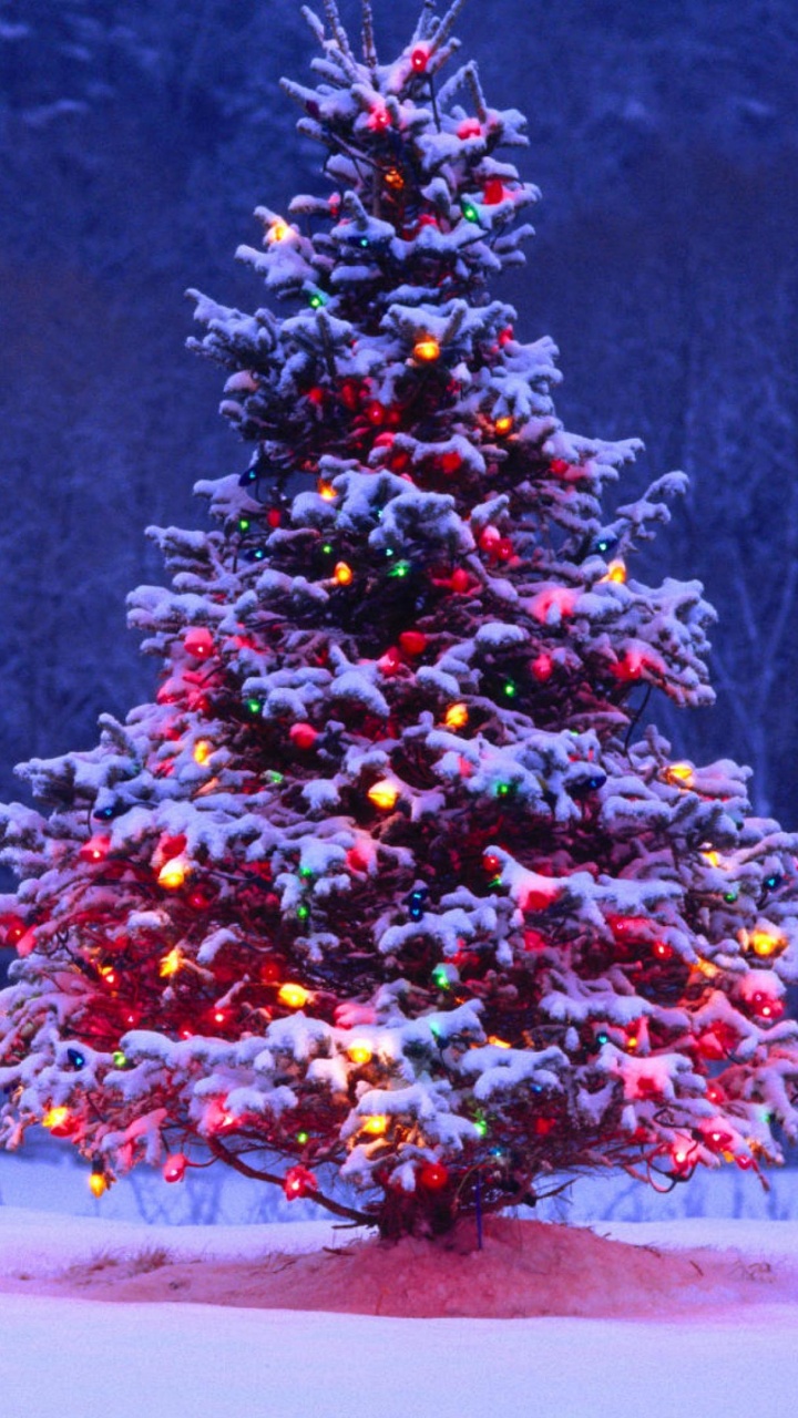 Обои Рождественский день, елка, Рождественские украшения, зима, дерево в разрешении 720x1280