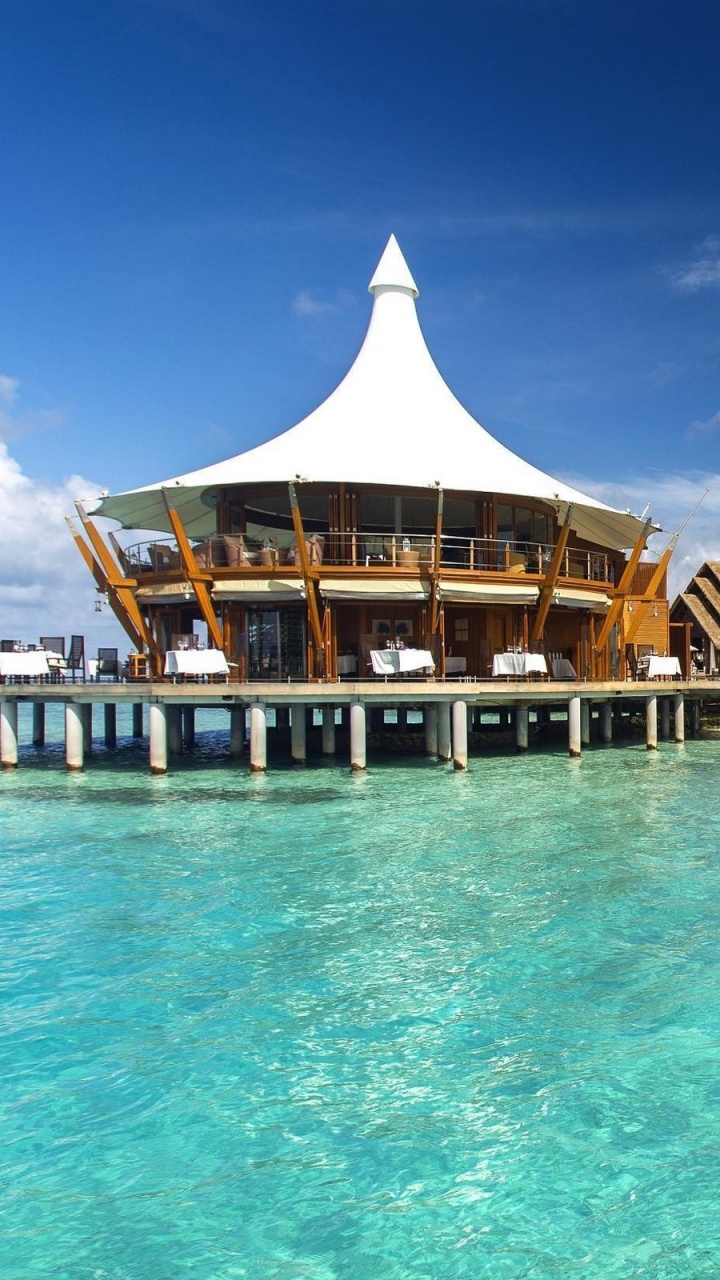 Обои Тза, прибежище, плавательный бассейн, тропическая зона, туризм в разрешении 720x1280