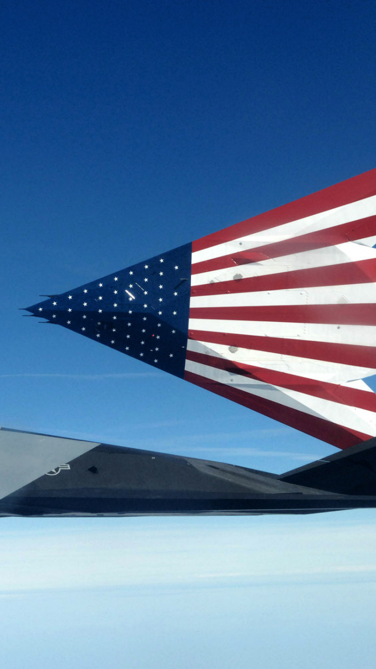 Обои Локхид F-117 Найт Хок, ВВС США, самолет стелс, самолет, самолеты в разрешении 750x1334