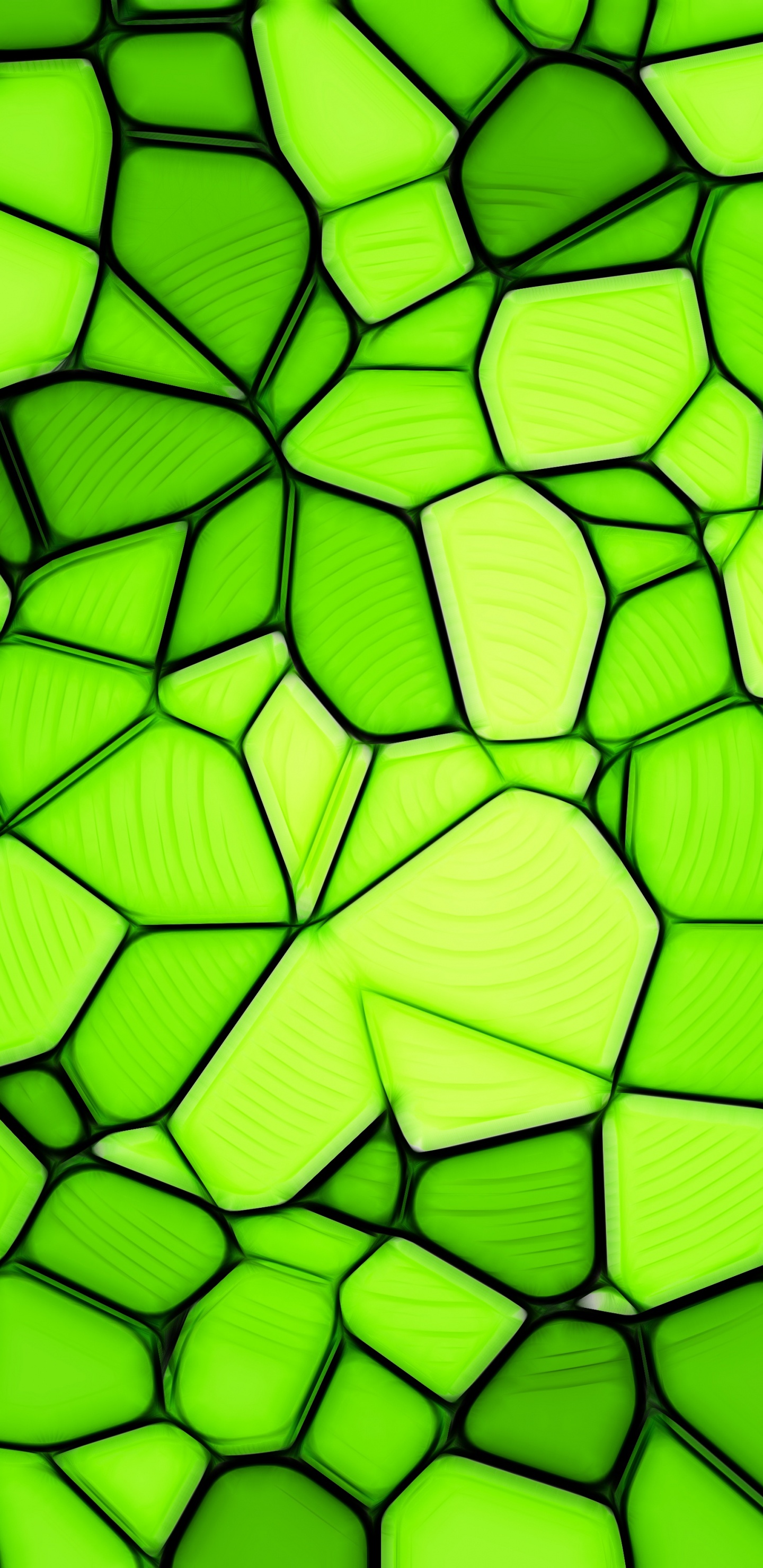 Обои зеленый, текстура, свет, узор, лист в разрешении 1440x2960