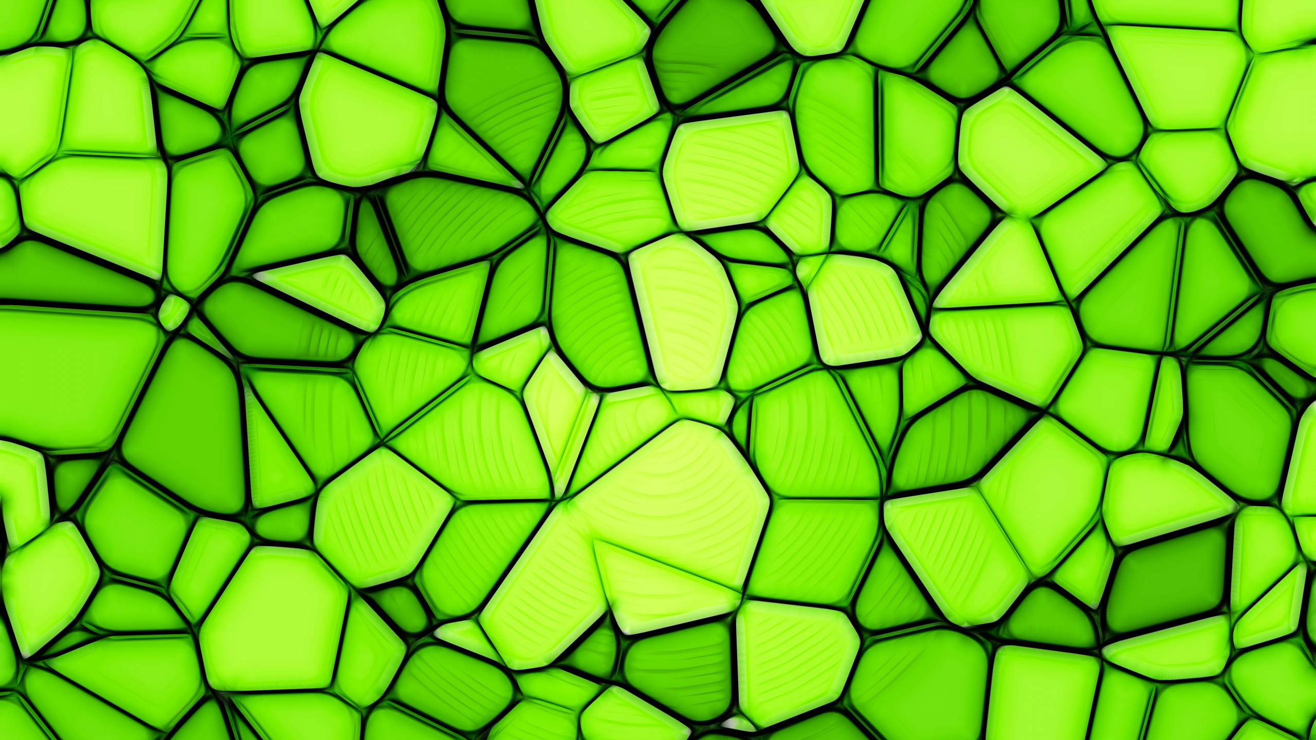 Обои зеленый, текстура, свет, узор, лист в разрешении 2560x1440