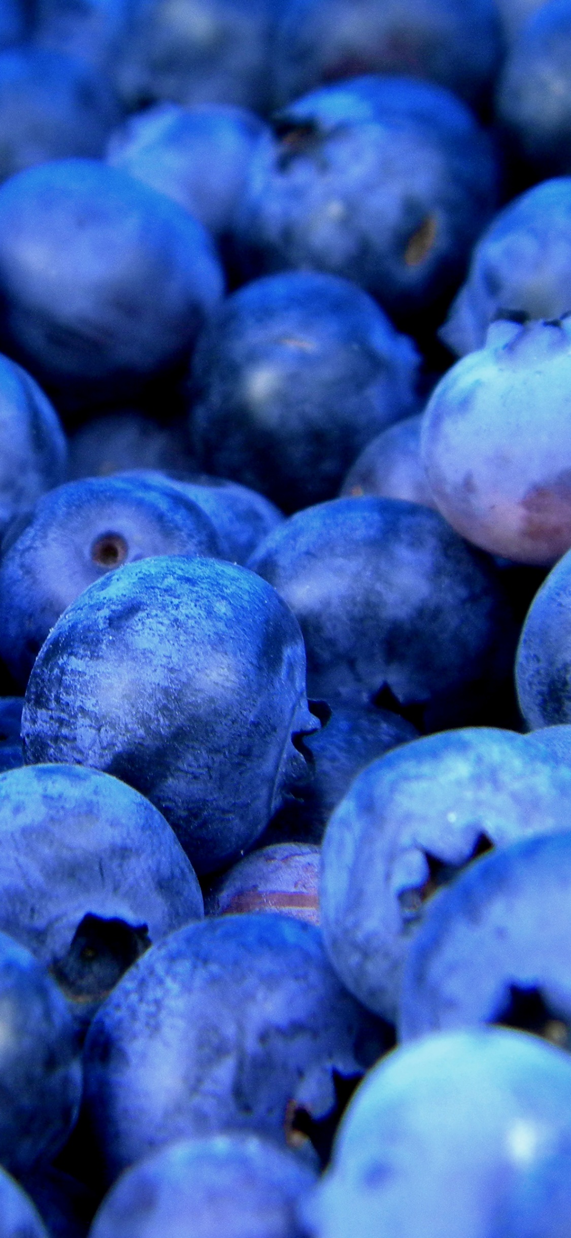 Обои керри фрукт, сок, фрукты, Черника, летние фрукты в разрешении 1125x2436