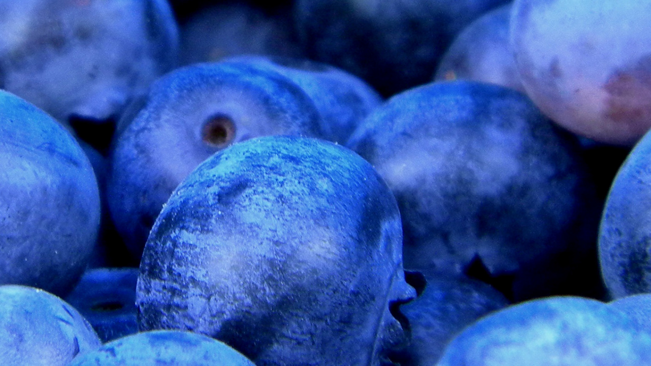 Обои керри фрукт, сок, фрукты, Черника, летние фрукты в разрешении 1280x720