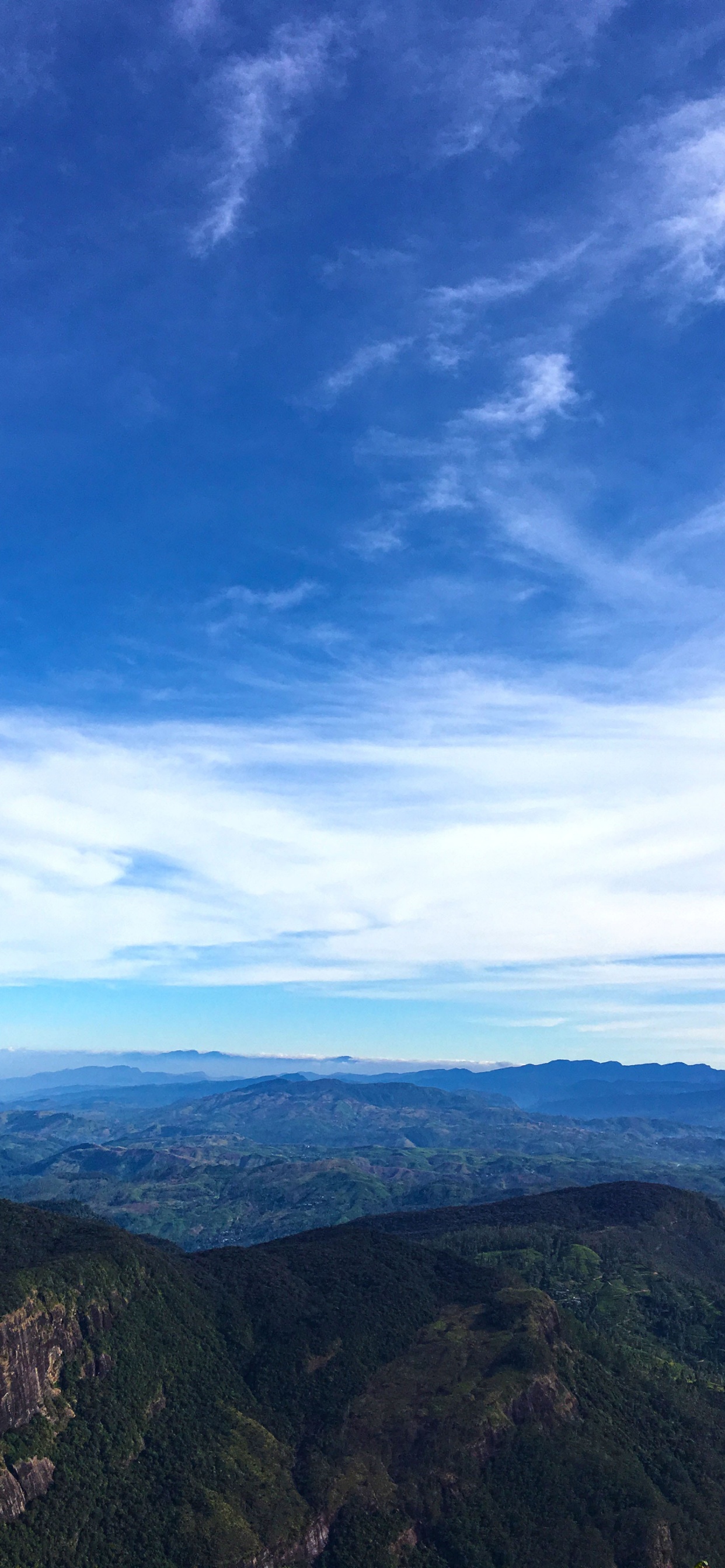 Обои синий, облако, горизонт, дневное время, кучевое облако в разрешении 1242x2688