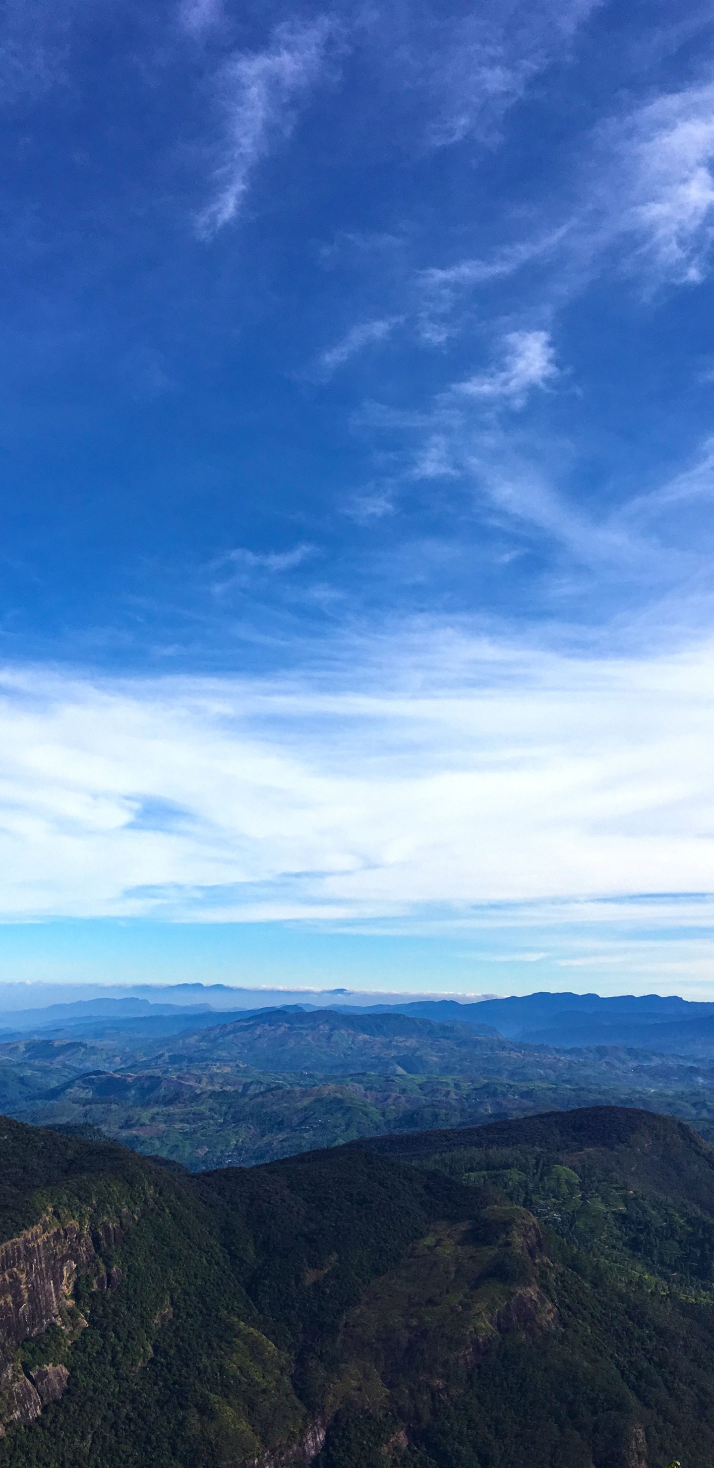 Обои синий, облако, горизонт, дневное время, кучевое облако в разрешении 1440x2960