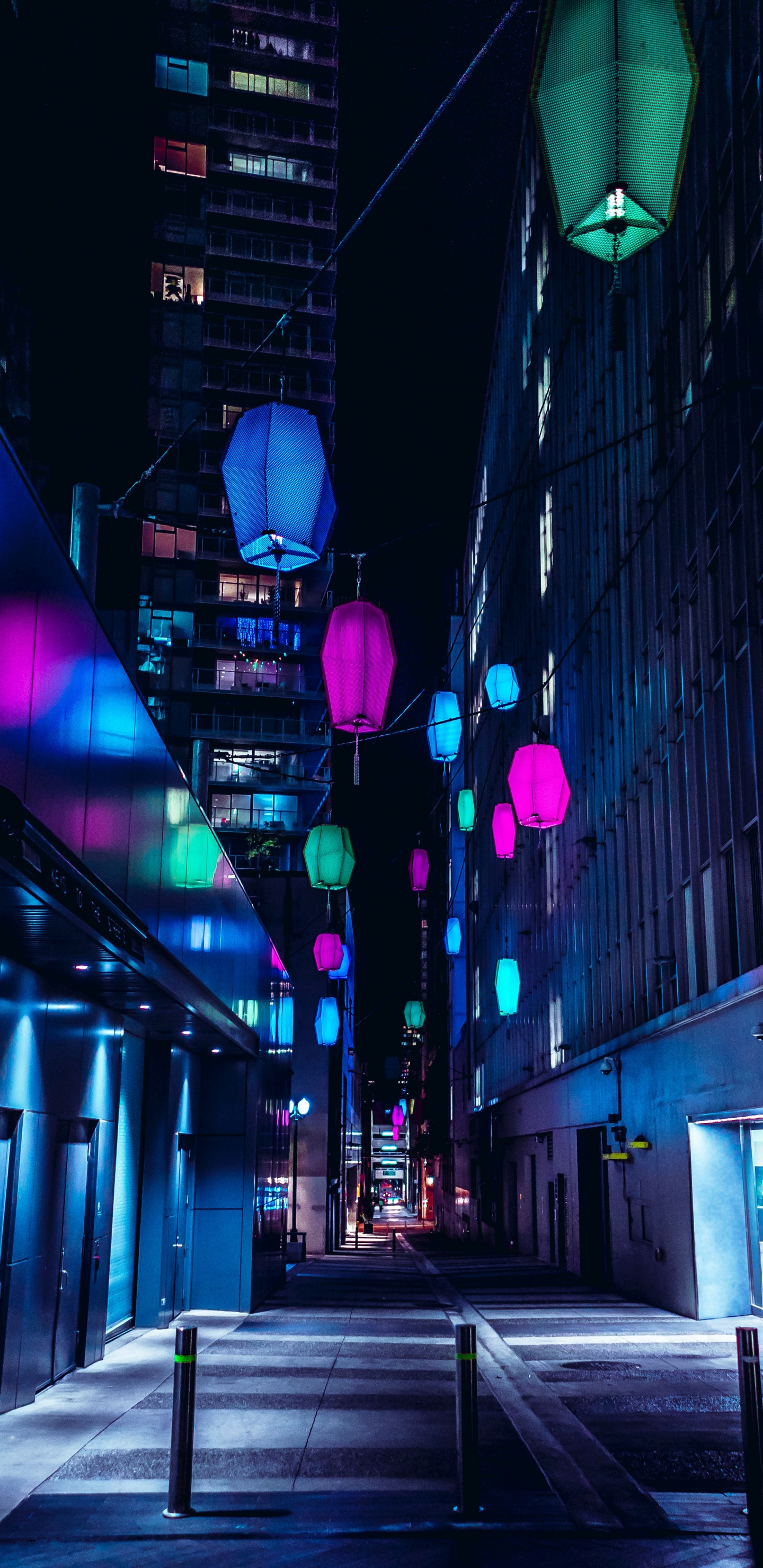 Обои город, улица, синий, пурпур, свет в разрешении 1440x2960