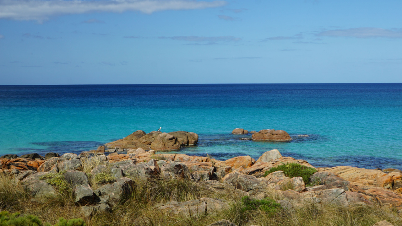 Обои национальный парк Тулум, побережье, вода, море, природа в разрешении 1280x720