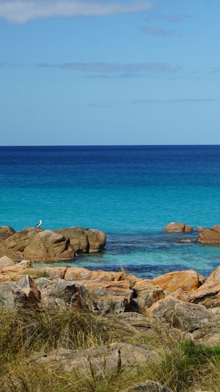 Обои национальный парк Тулум, побережье, вода, море, природа в разрешении 720x1280