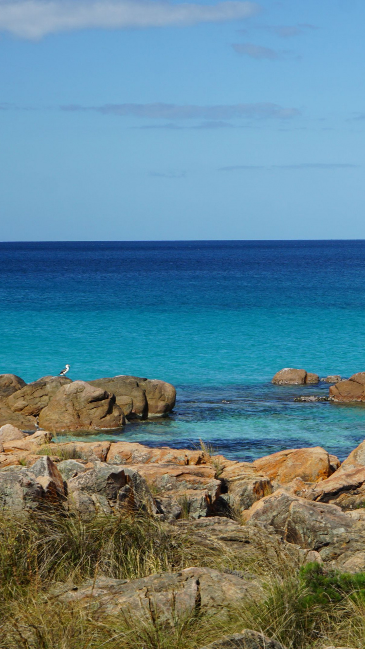 Обои национальный парк Тулум, побережье, вода, море, природа в разрешении 750x1334