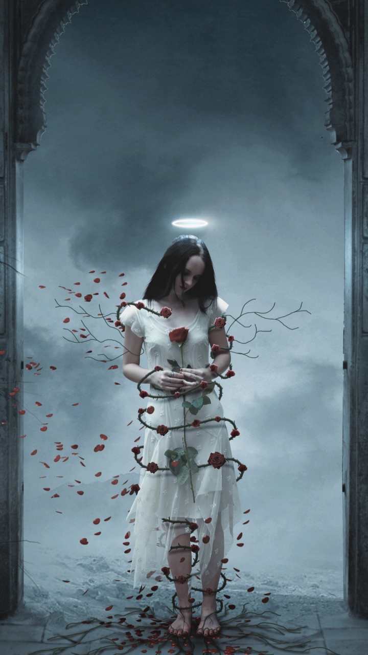 Обои темнота, арт, окно, ветвь, прут в разрешении 720x1280