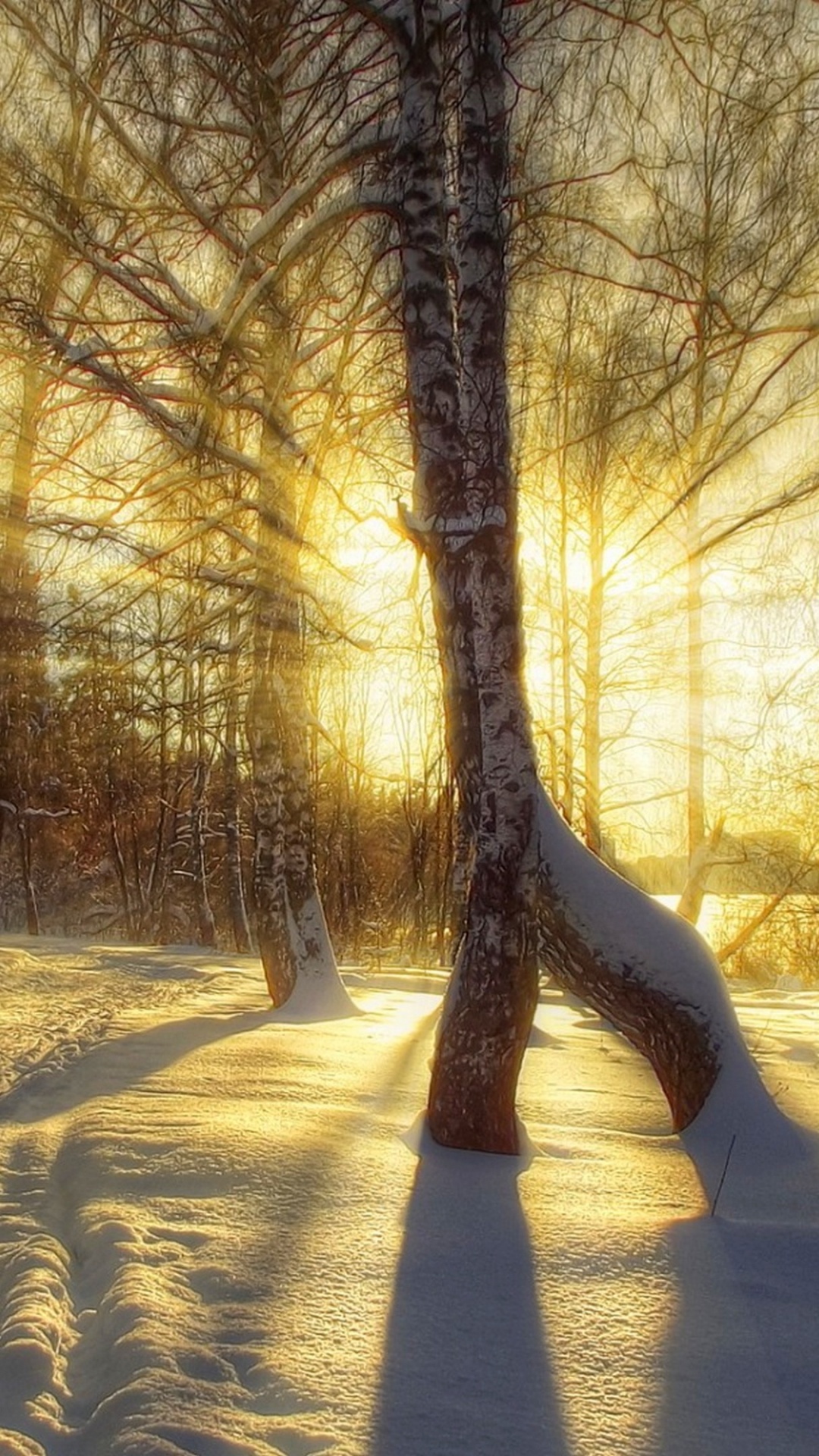 Обои зима, снег, закат, дерево, природа в разрешении 1080x1920