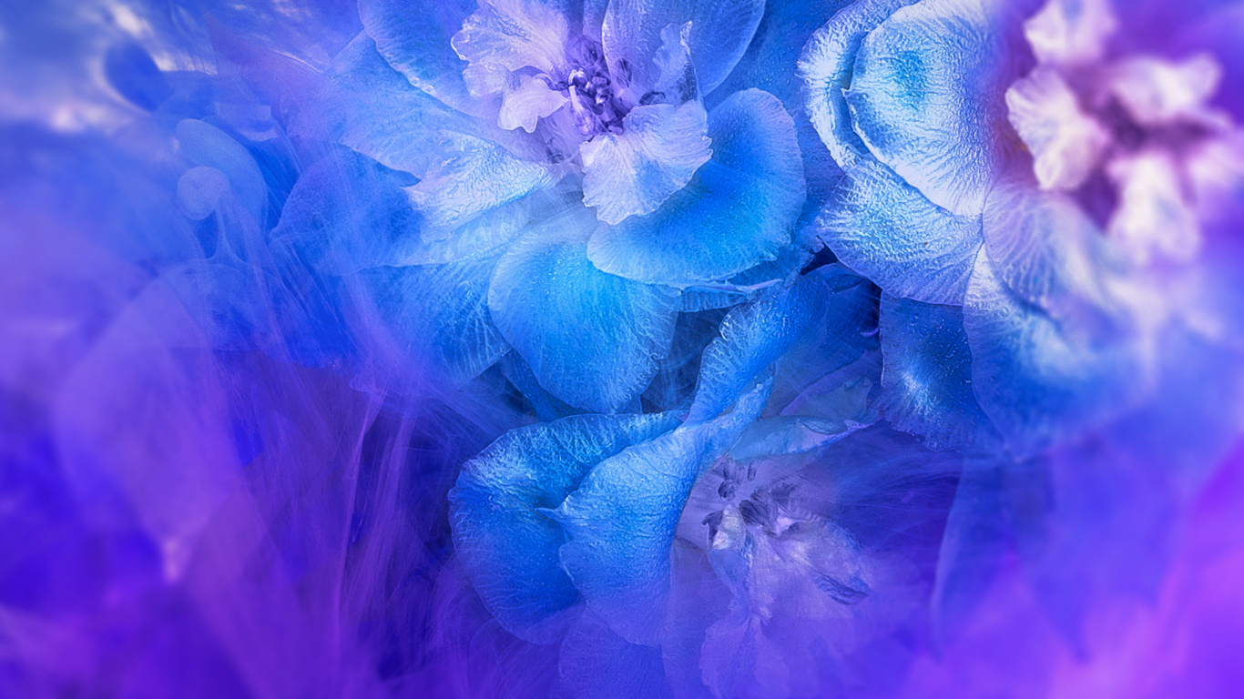 Обои Huawei, Huawei Nova, Huawei Nova 3, huawei nova 3i акции, huawei nova 3i в разрешении 1366x768