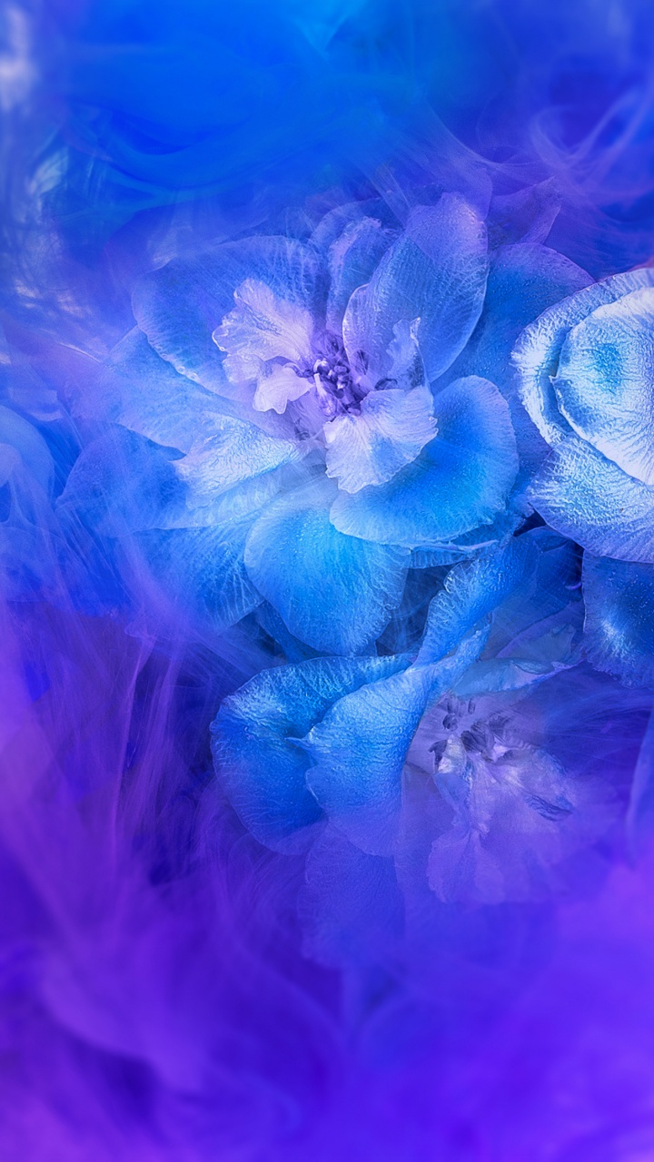 Обои Huawei, Huawei Nova, Huawei Nova 3, huawei nova 3i акции, huawei nova 3i в разрешении 720x1280