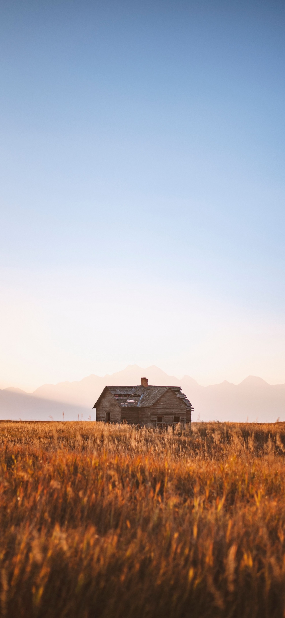 Обои будущее, Тим Рэйбон Бэнд, блуграсс, спотифай, Альбом в разрешении 1125x2436
