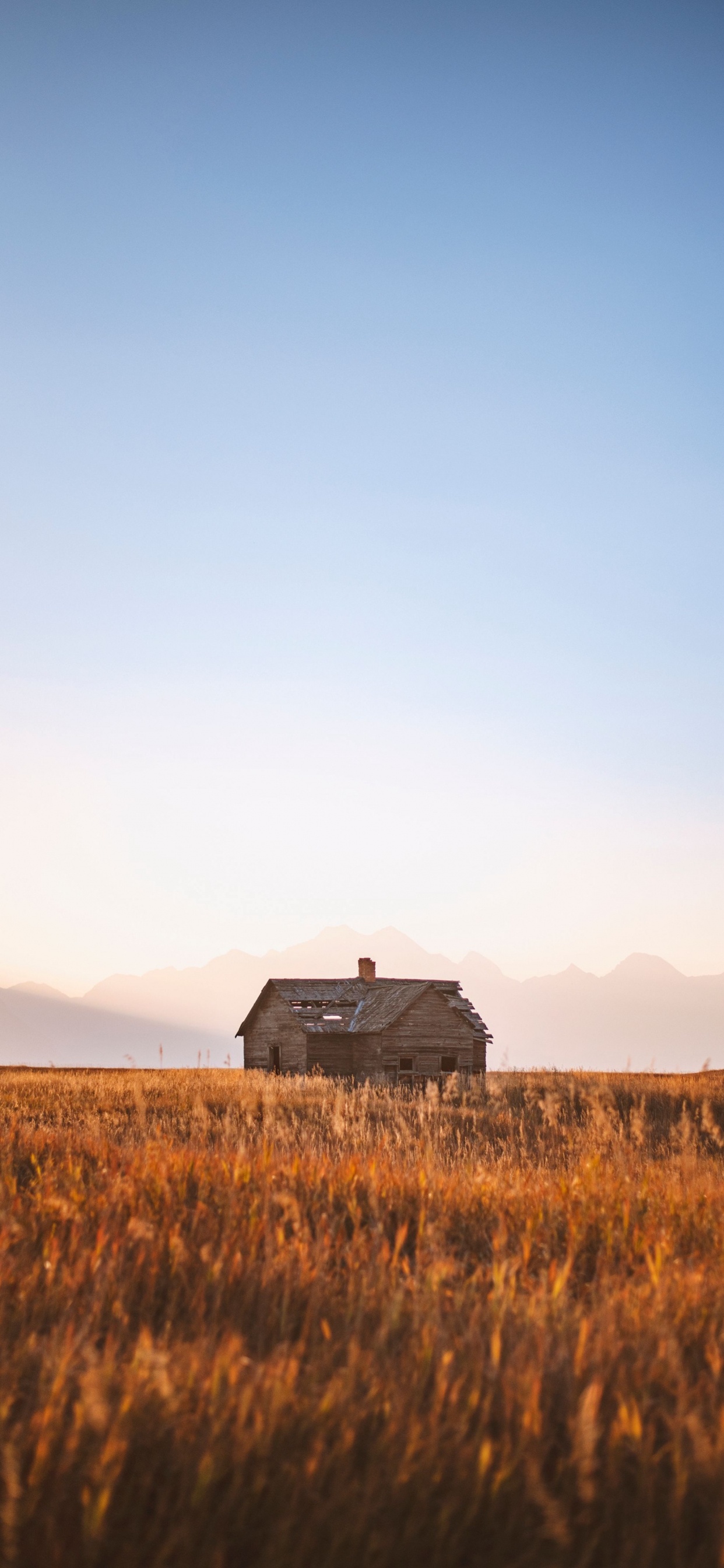 Обои будущее, Тим Рэйбон Бэнд, блуграсс, спотифай, Альбом в разрешении 1242x2688