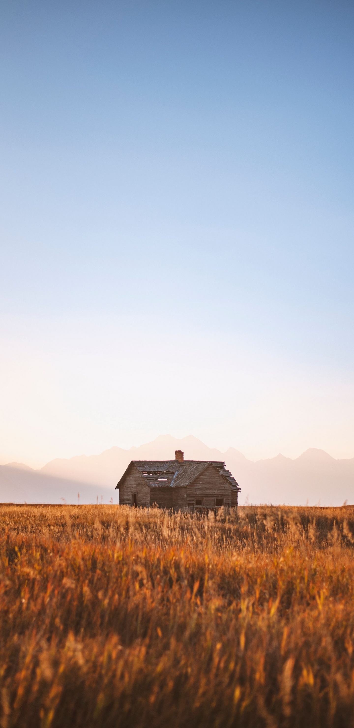Обои будущее, Тим Рэйбон Бэнд, блуграсс, спотифай, Альбом в разрешении 1440x2960