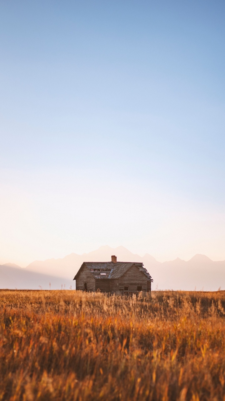 Обои будущее, Тим Рэйбон Бэнд, блуграсс, спотифай, Альбом в разрешении 720x1280