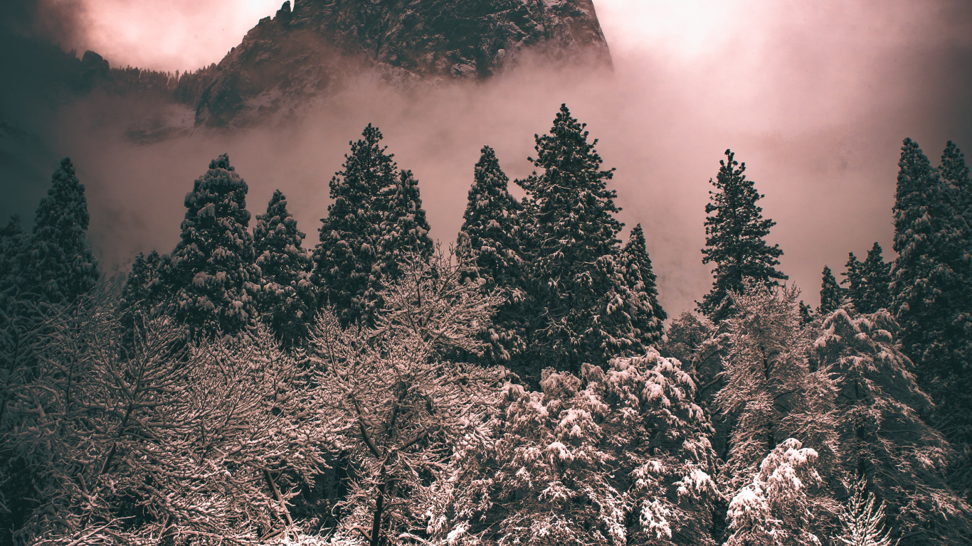 Обои дерево, облако, атмосфера, растение, гора в разрешении 1366x768