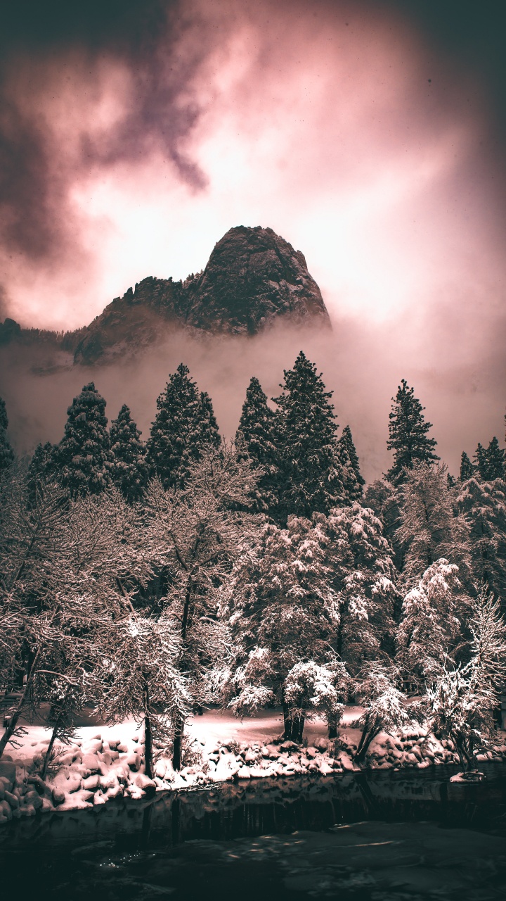 Обои дерево, облако, атмосфера, растение, гора в разрешении 720x1280