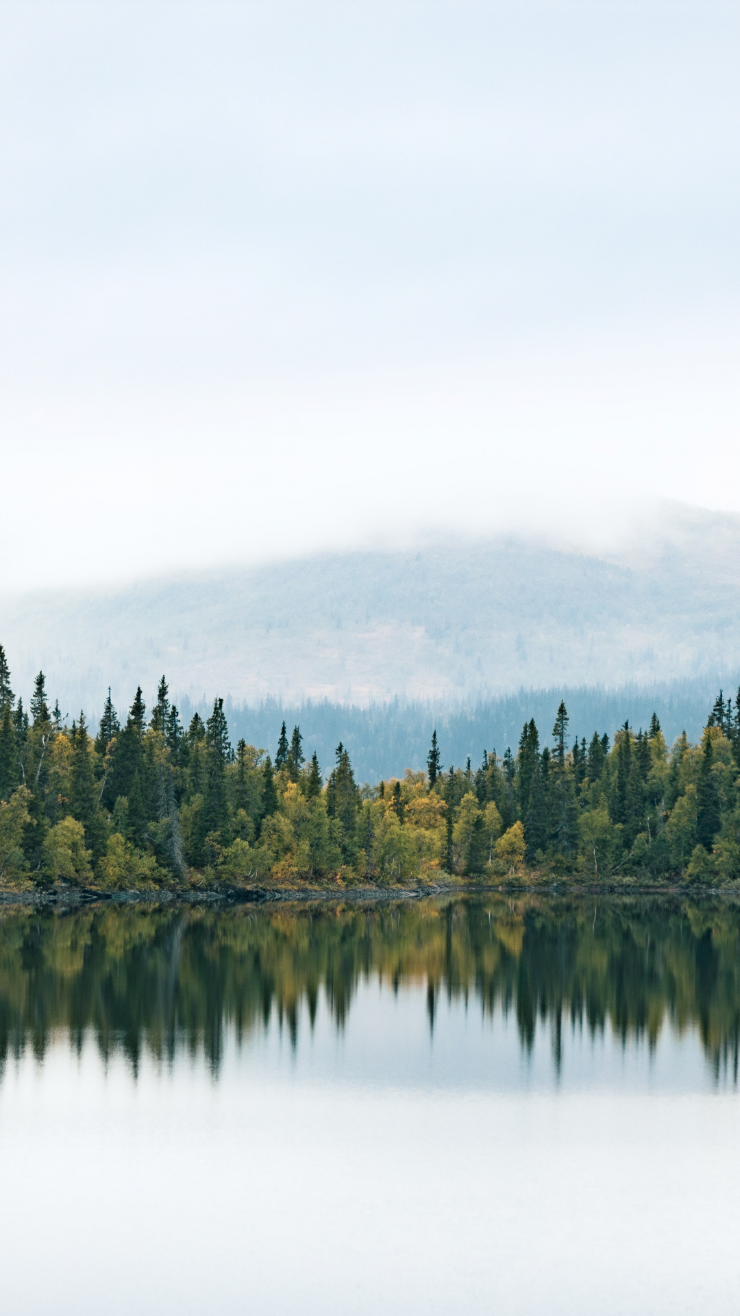 Обои вода, облако, природный ландшафт, лиственница, дерево в разрешении 1080x1920