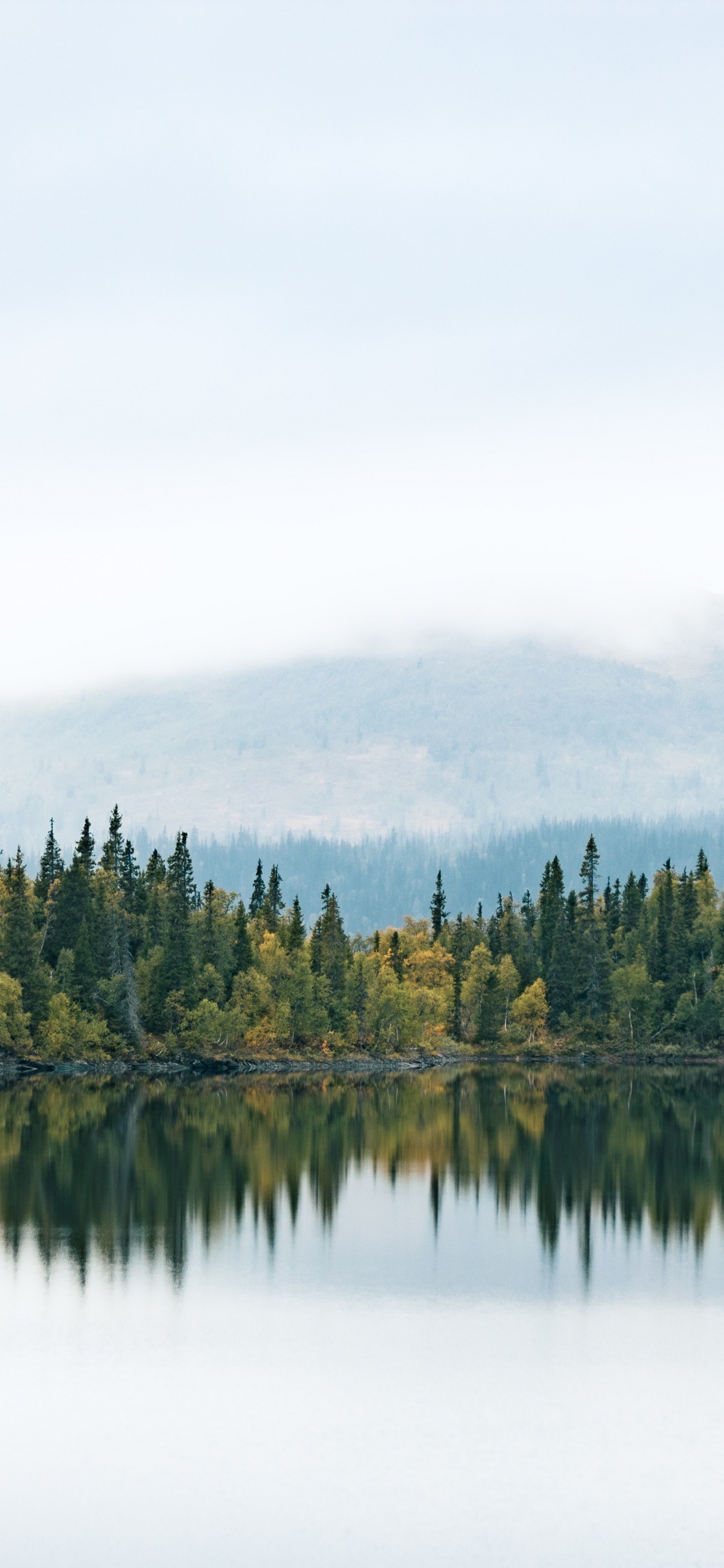 Обои вода, облако, природный ландшафт, лиственница, дерево в разрешении 1125x2436