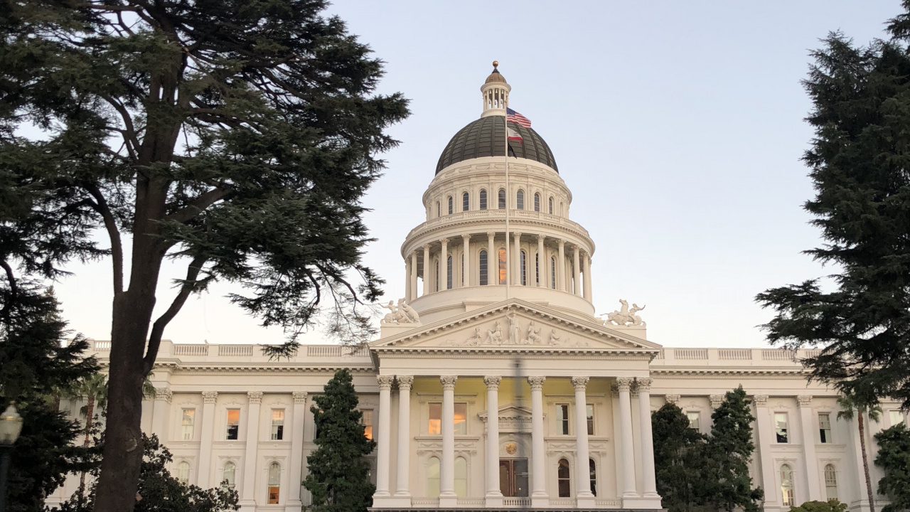 Обои Капитолий штата, растение, купол, ориентир, дворец в разрешении 1280x720