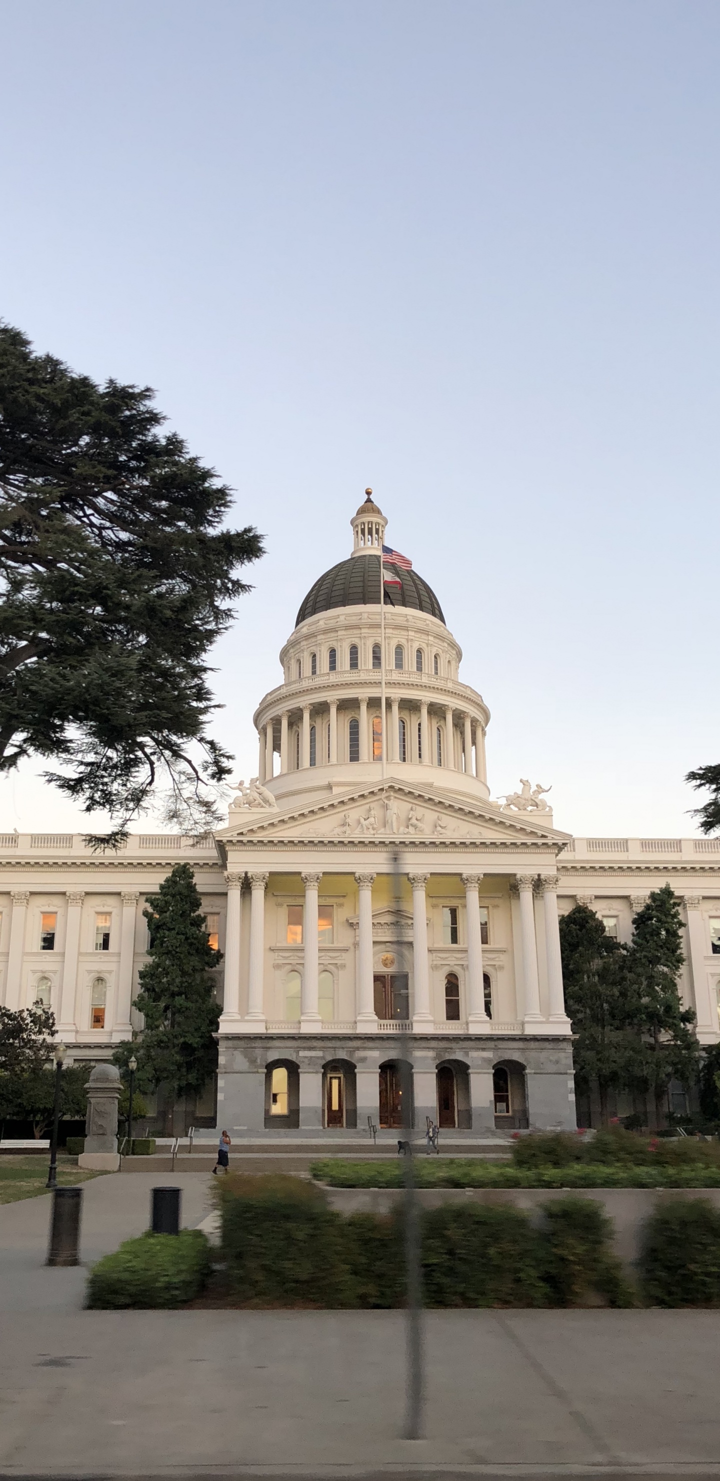 Обои Капитолий штата, растение, купол, ориентир, дворец в разрешении 1440x2960