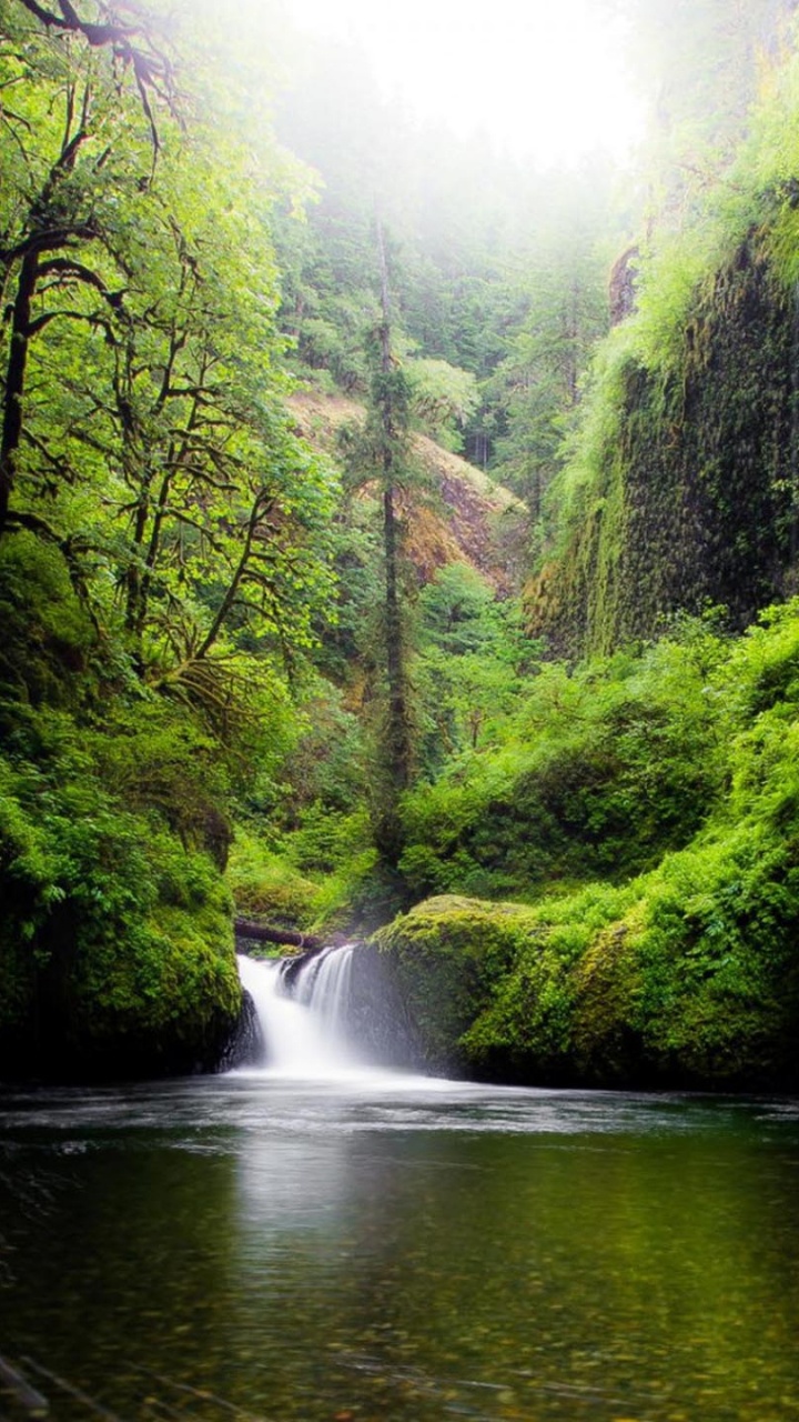 Обои природа, водоем, гидроресурсы, вода, растительность в разрешении 720x1280