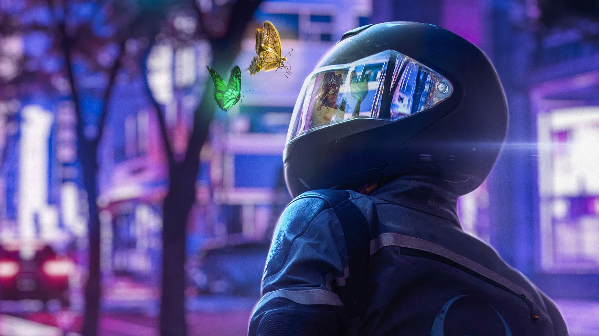 Обои велосипед, человек, байкер бабочка, Realme 5, отражение в разрешении 1920x1080