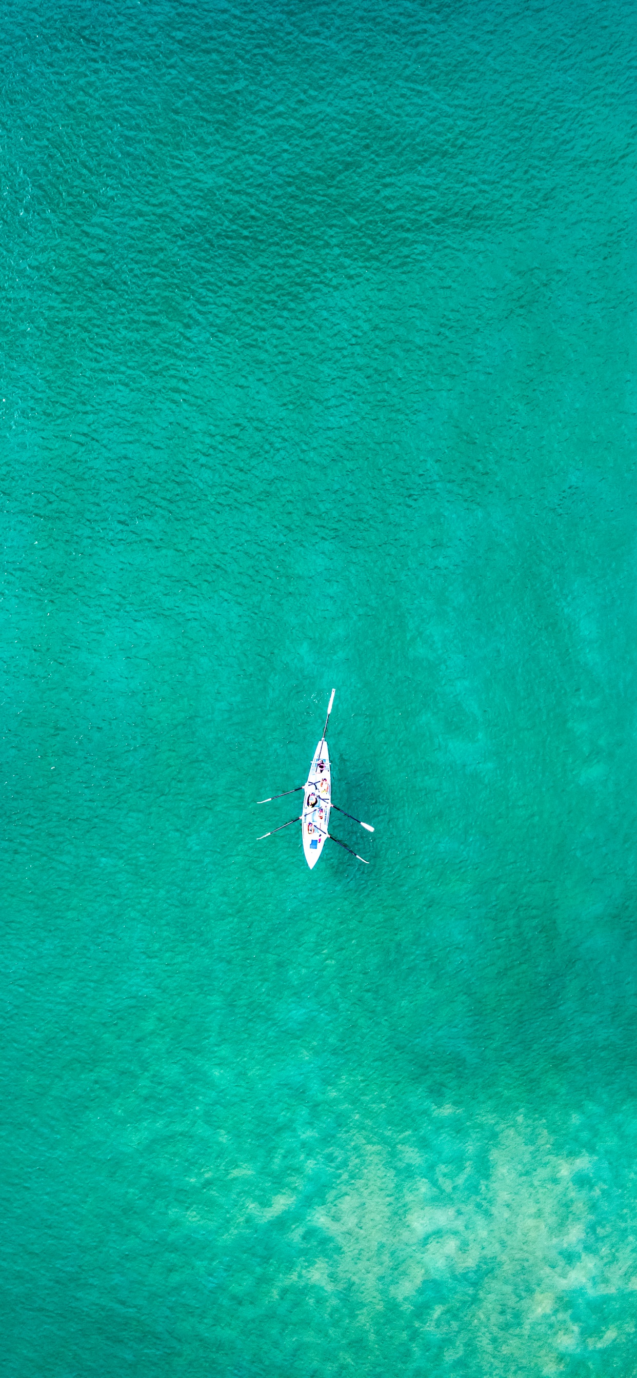 Обои вода, море, наука, зеленый, лазурный в разрешении 1242x2688