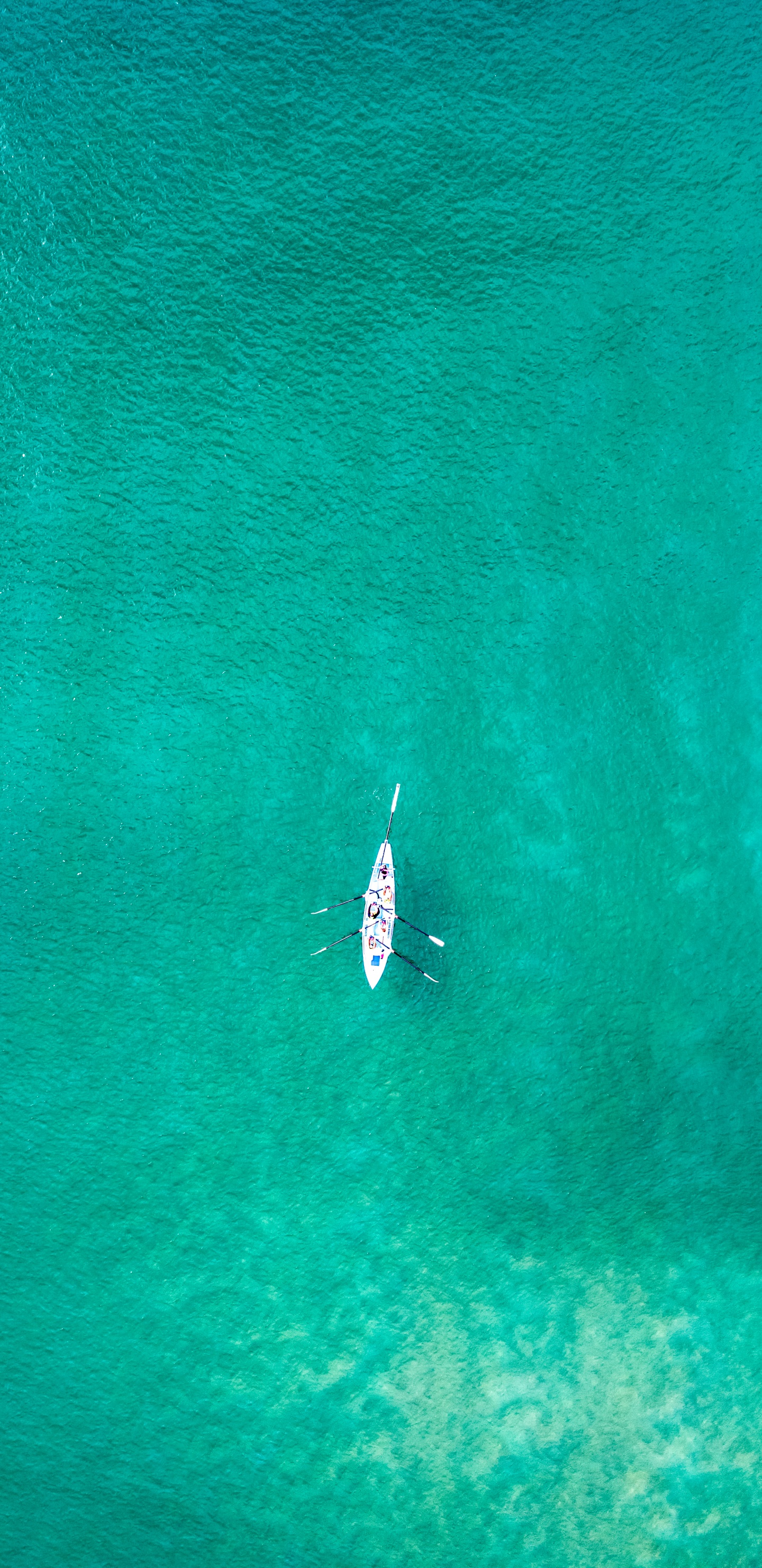 Обои вода, море, наука, зеленый, лазурный в разрешении 1440x2960