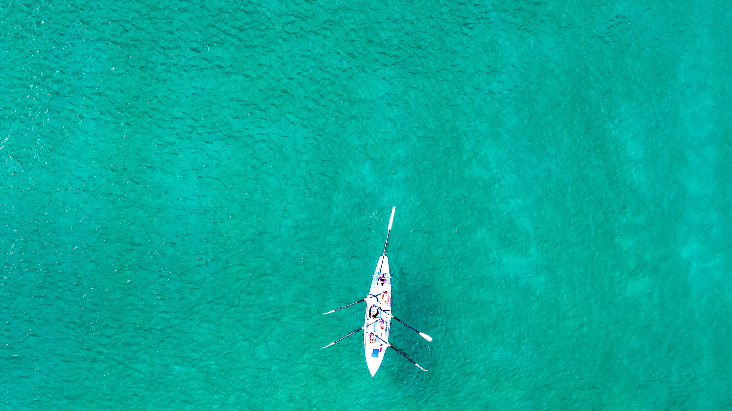 Обои вода, море, наука, зеленый, лазурный в разрешении 2560x1440