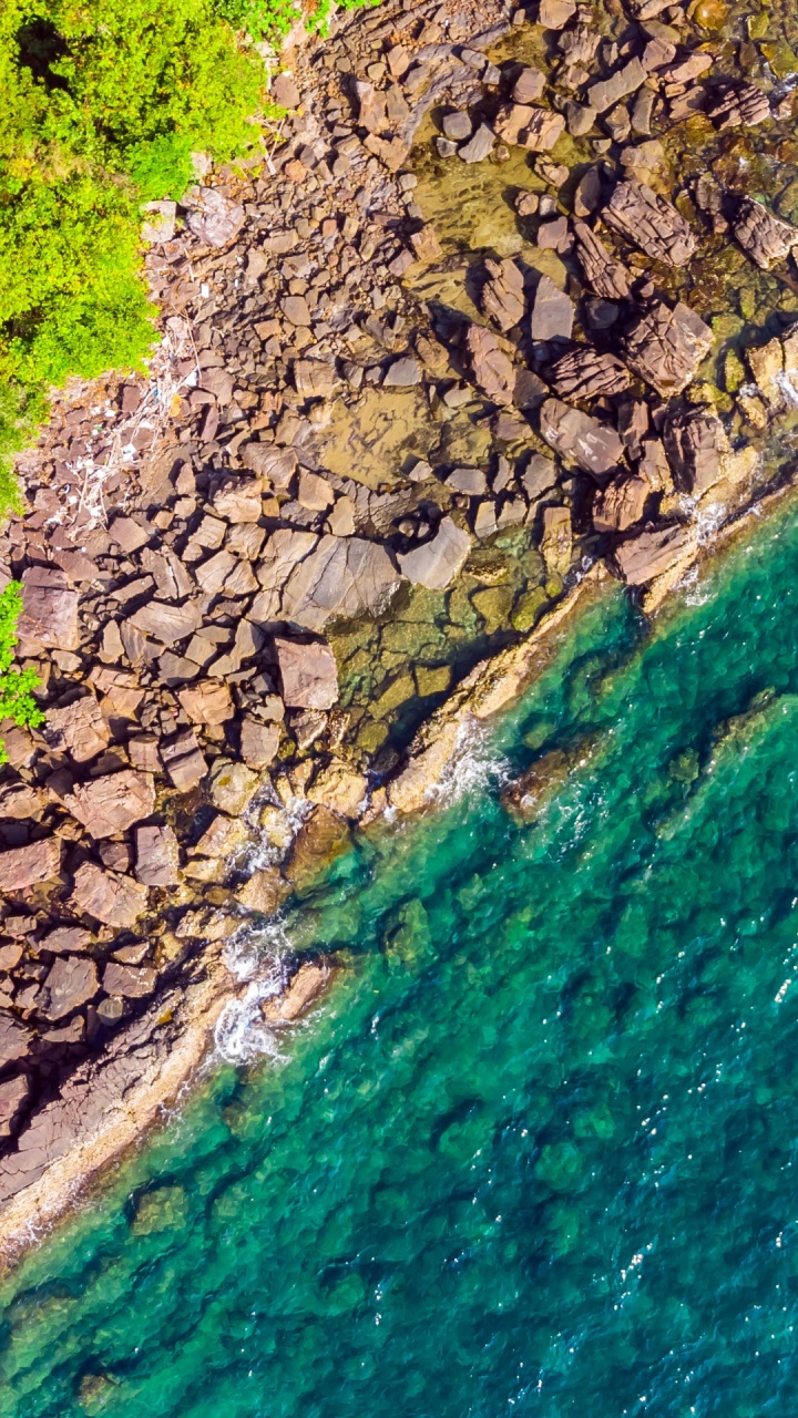 Обои растительность, водоток, гидроресурсы, обнажение, вода в разрешении 720x1280