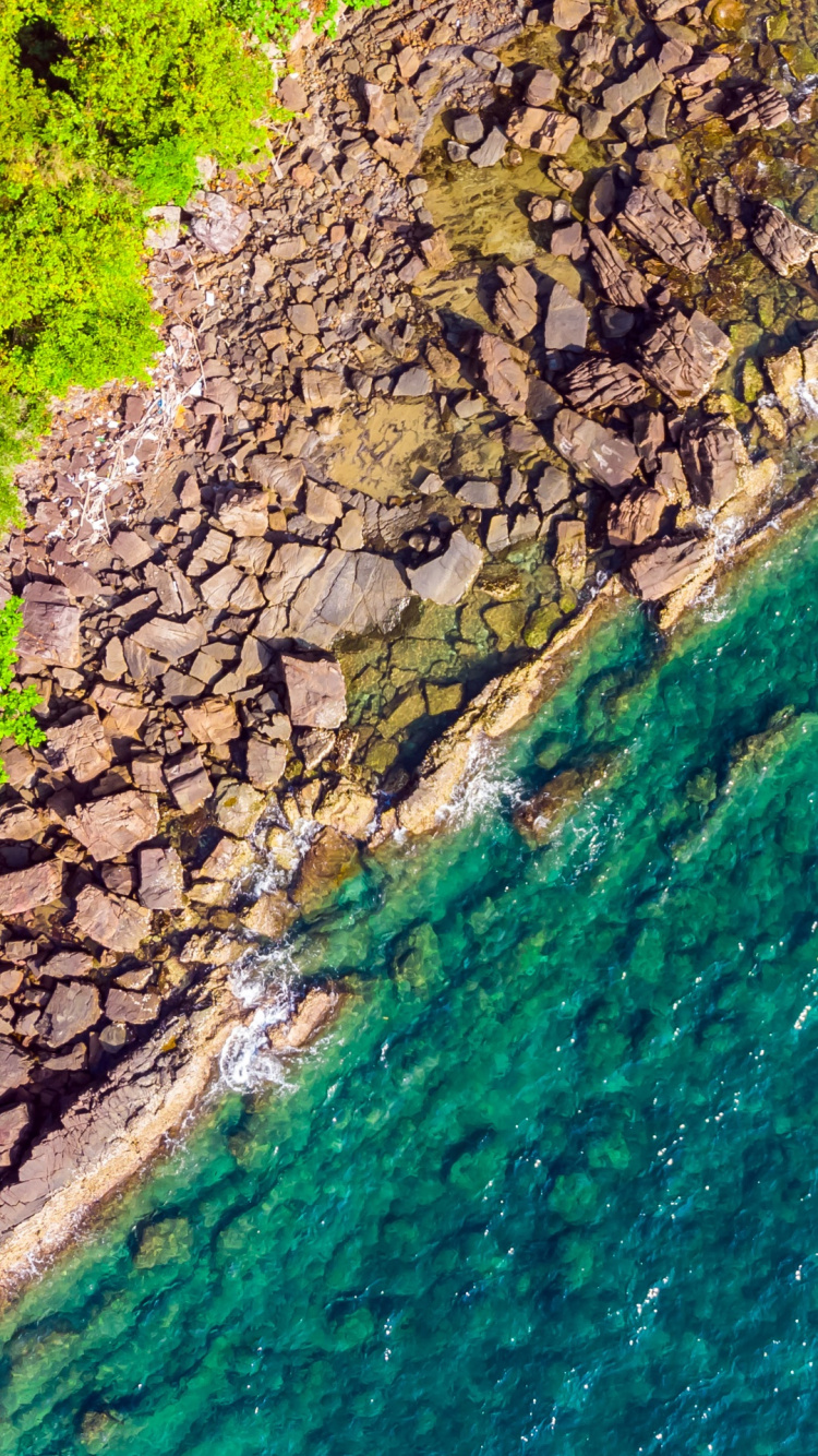 Обои растительность, водоток, гидроресурсы, обнажение, вода в разрешении 750x1334