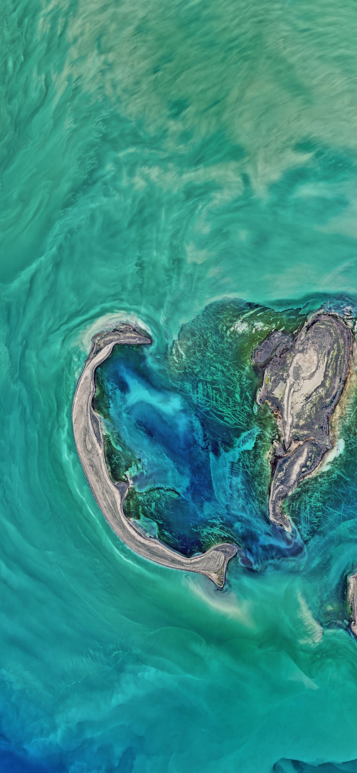 Обои вода, море, океан, бирюза, земля в разрешении 1242x2688