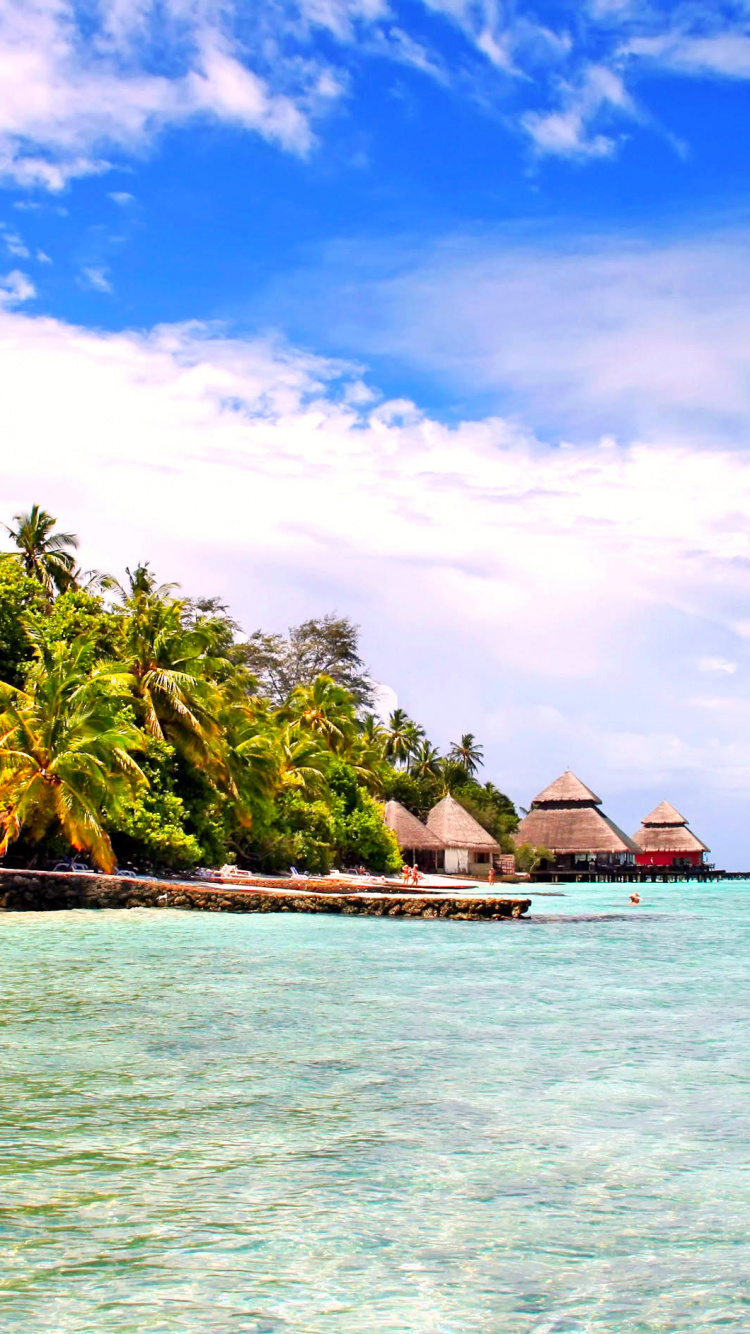 Обои водоем, тропическая зона, море, Карибский бассейн, океан в разрешении 750x1334